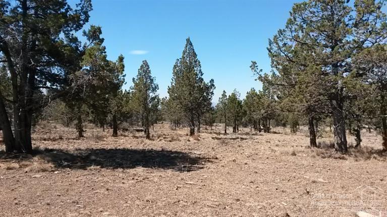 Ochoco Land + Livest - Land