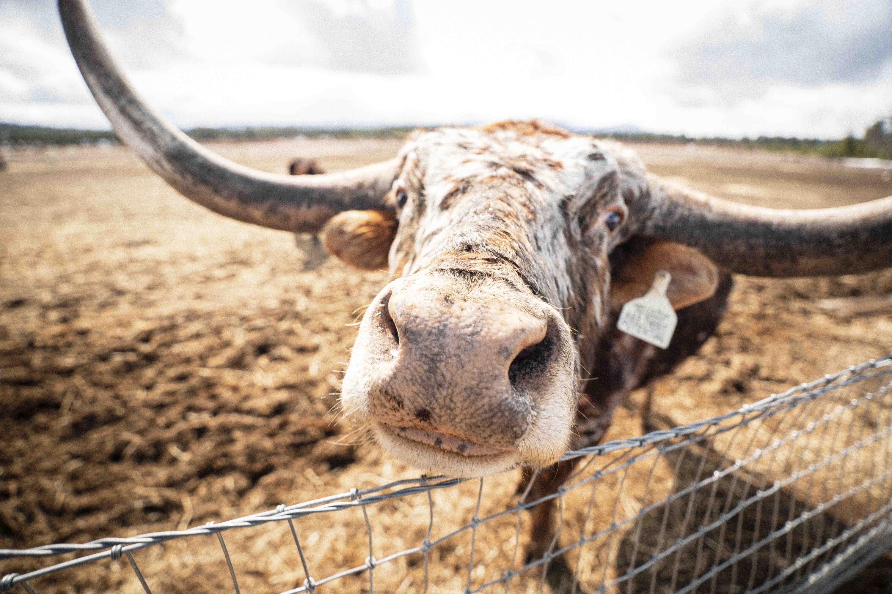 River West - Residential