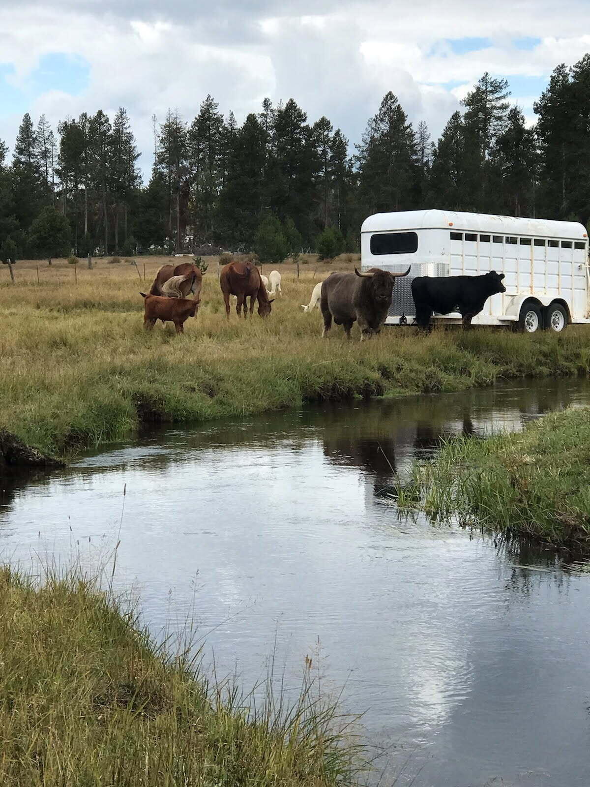 River West - Residential