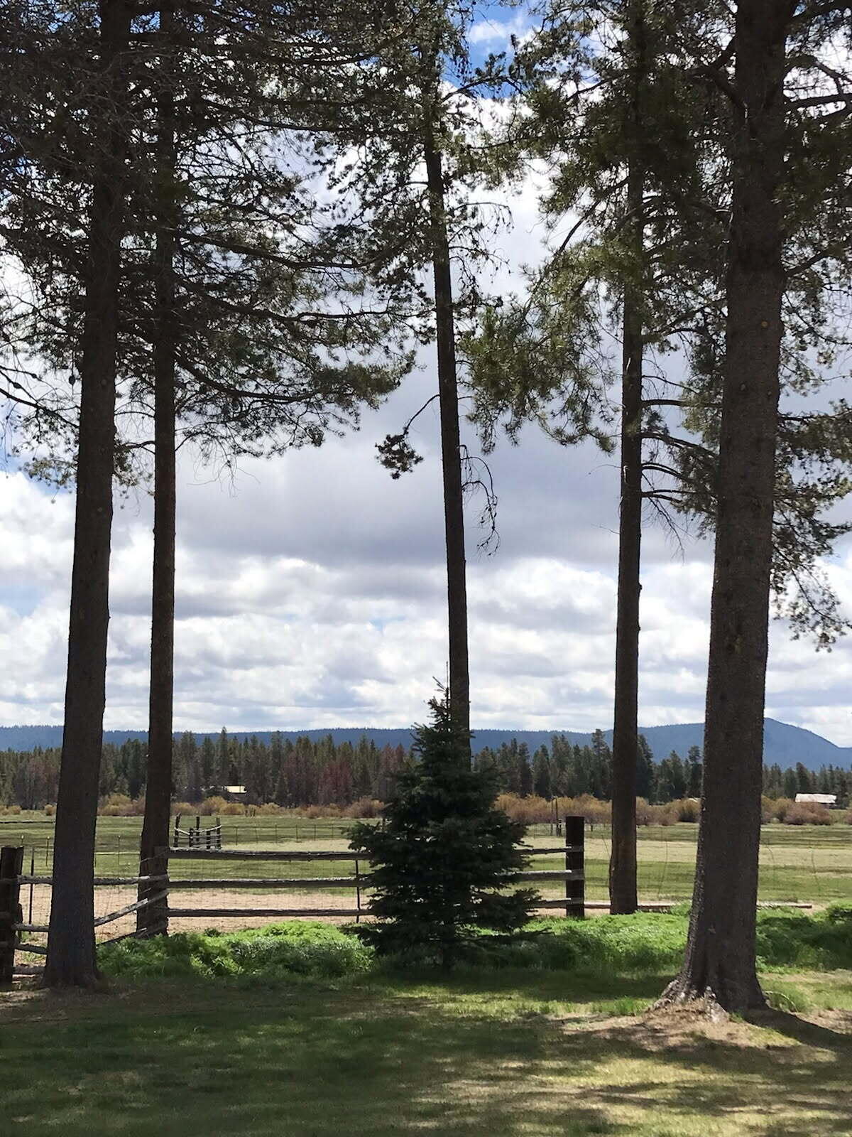 River West - Residential