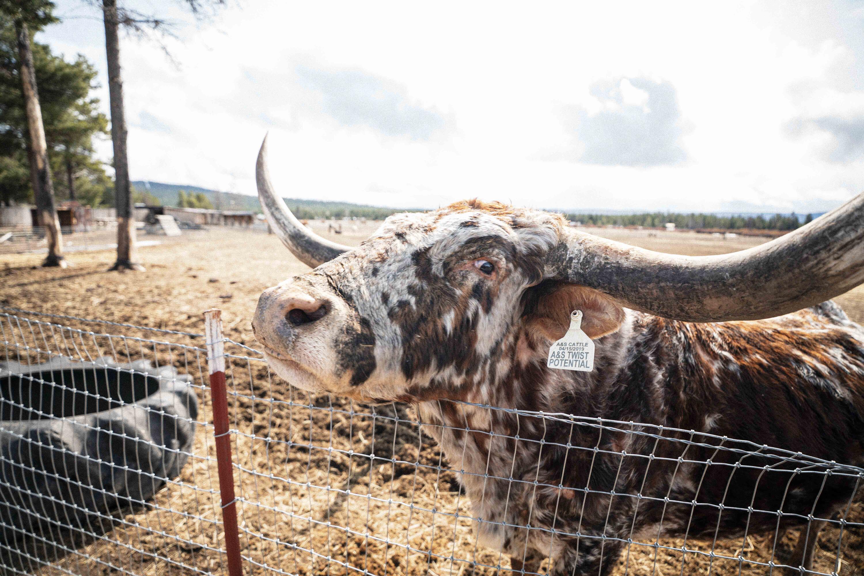 River West - Residential