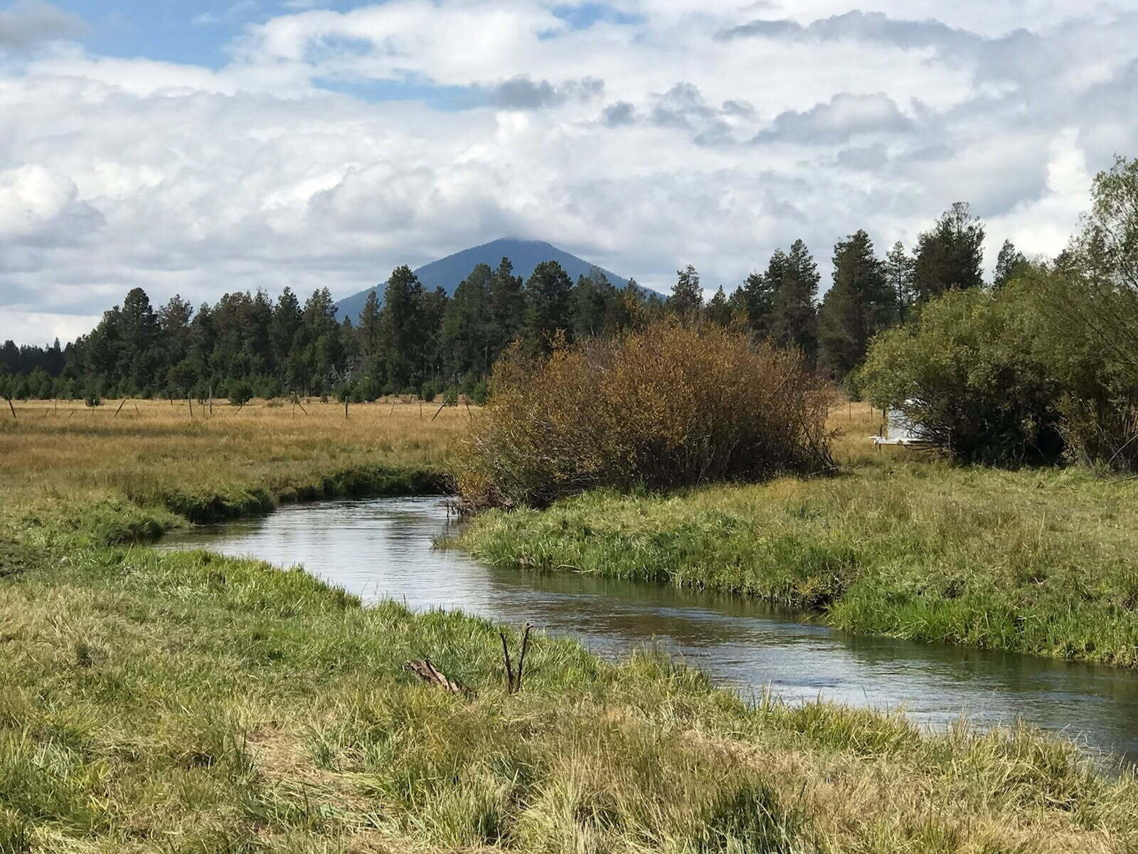 River West - Residential