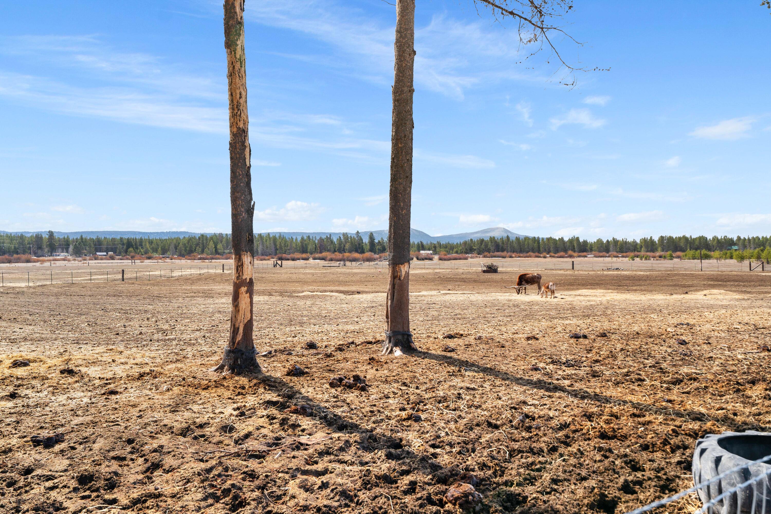 River West - Residential