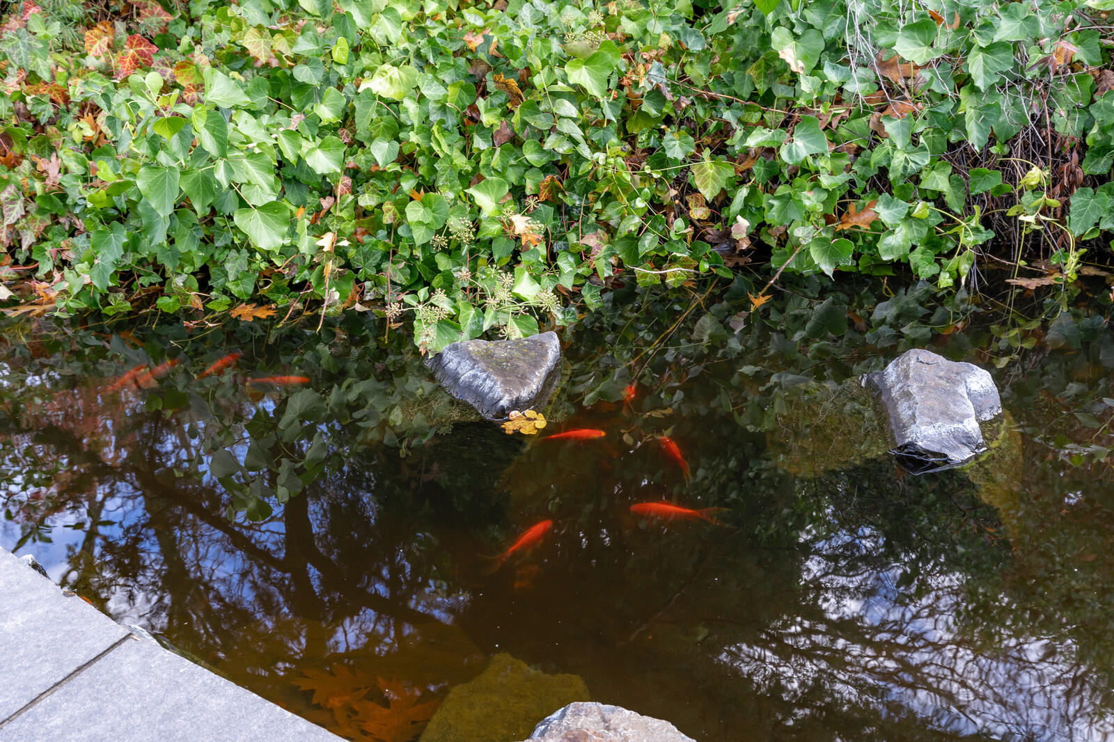 Janes Subdivision - Residential