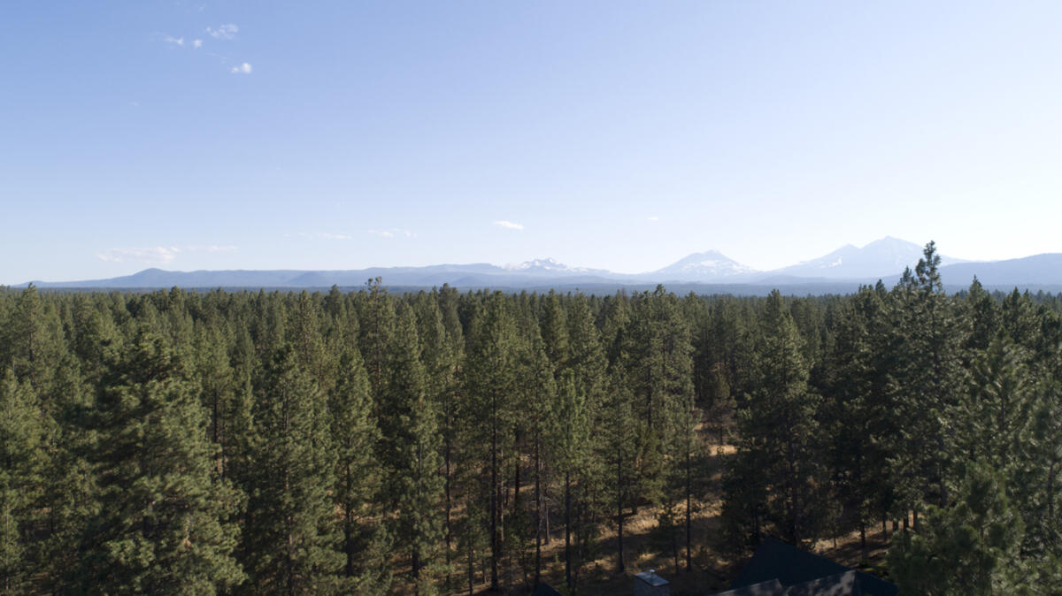 Coyote Springs - Residential