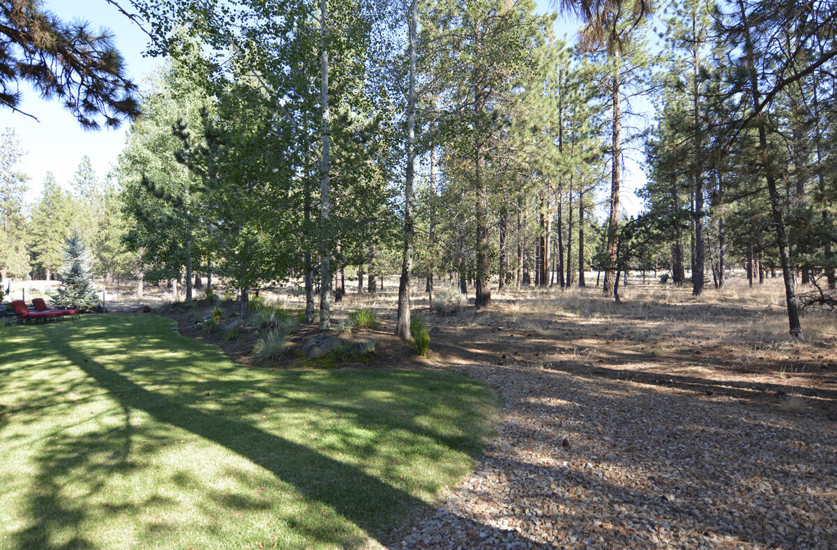 Coyote Springs - Residential