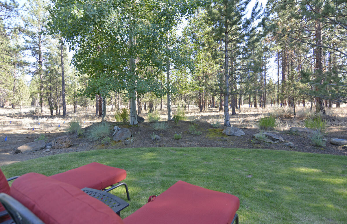 Coyote Springs - Residential