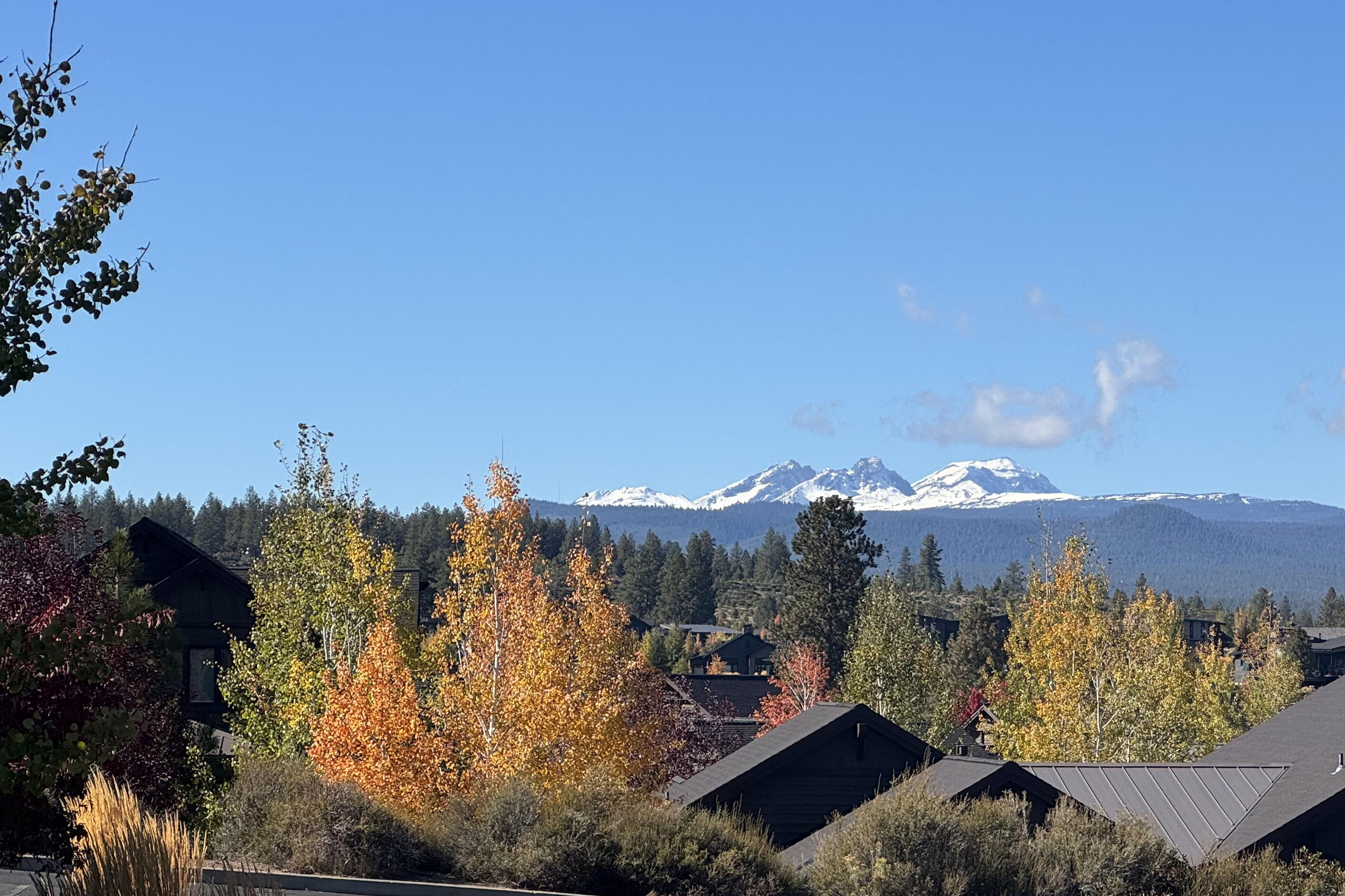 61464 Meeks Trail