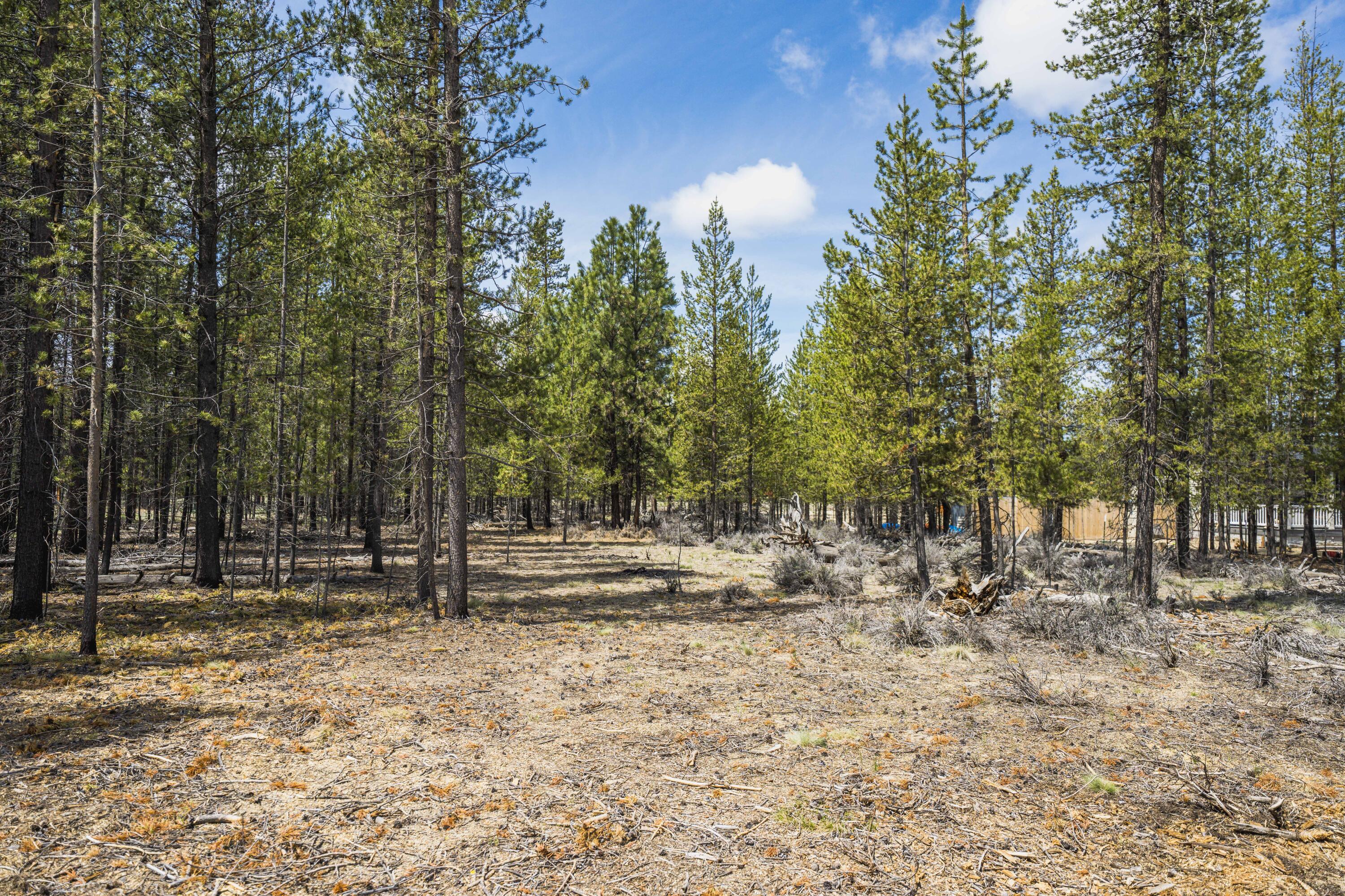 Sun Forest Estates - Land