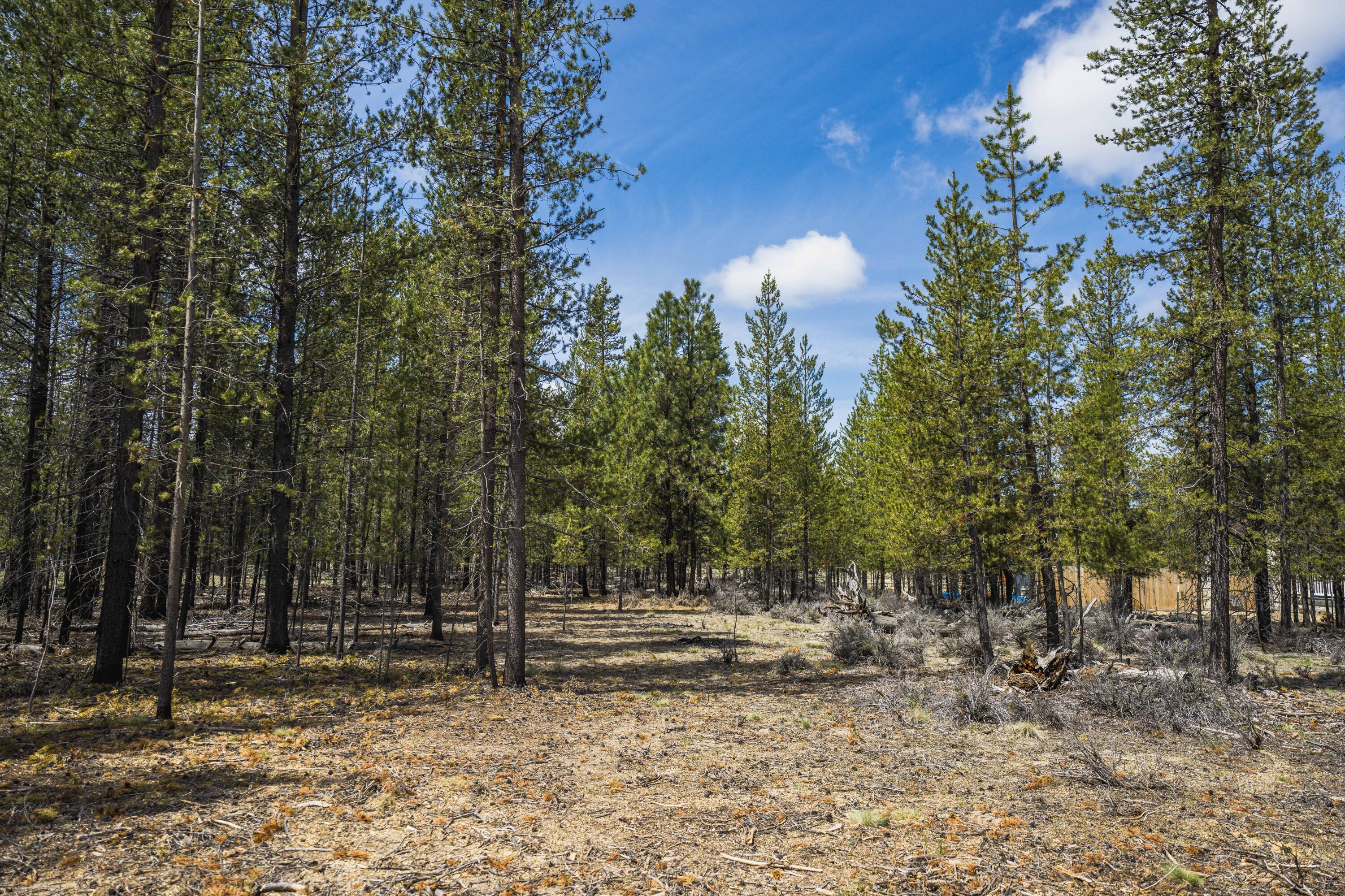 Sun Forest Estates - Land