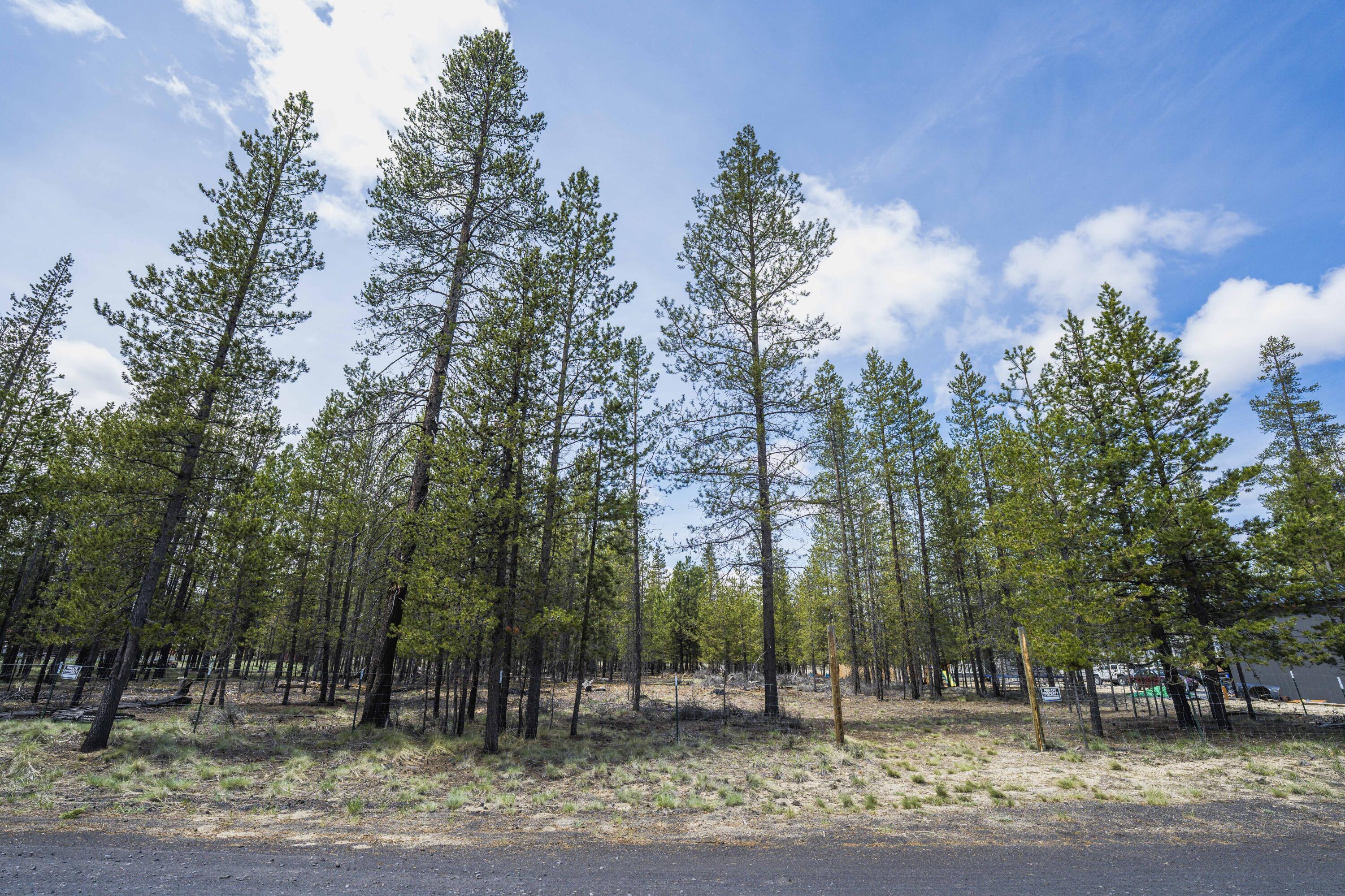 Sun Forest Estates - Land