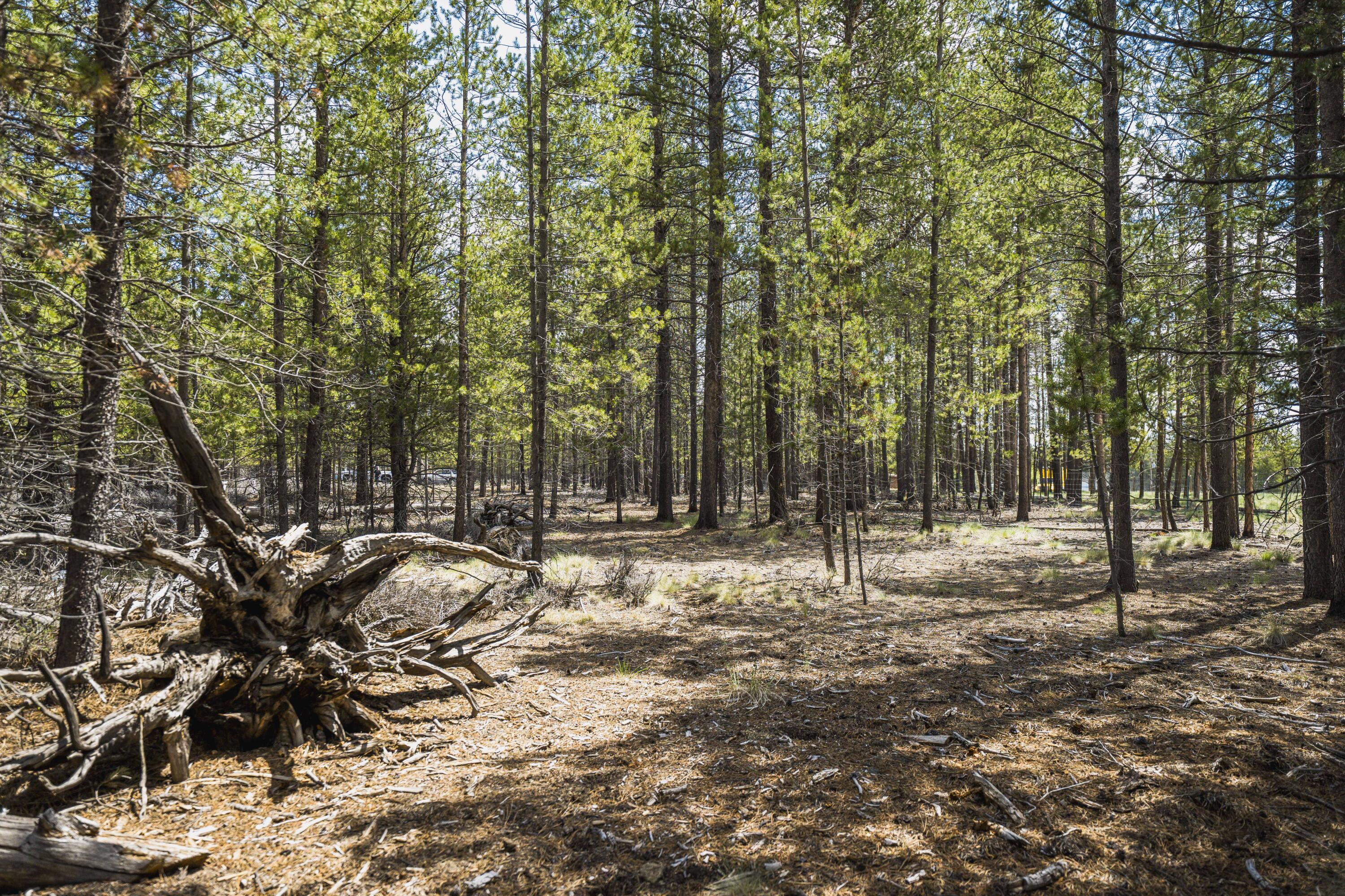 Sun Forest Estates - Land