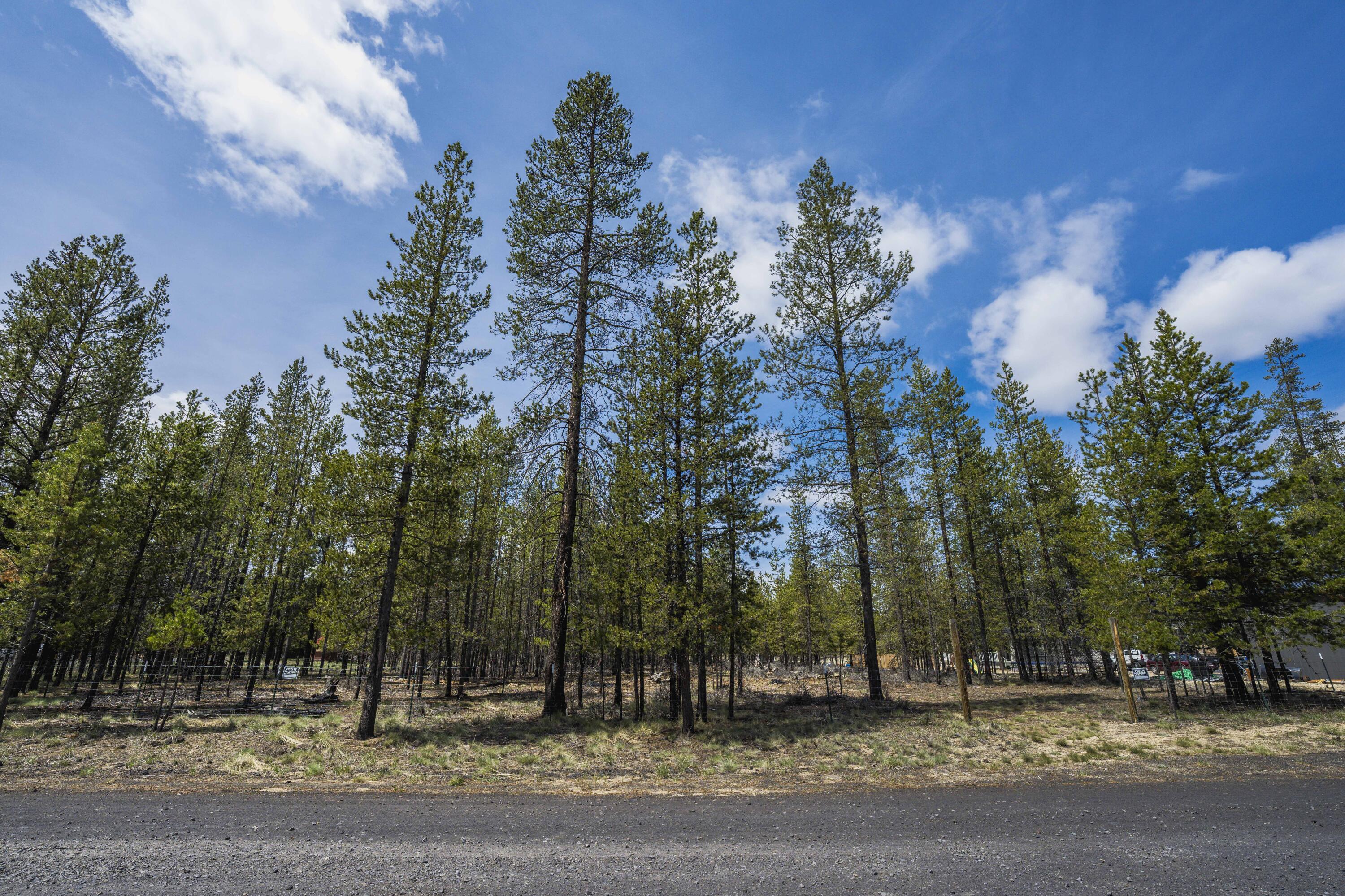 Sun Forest Estates - Land