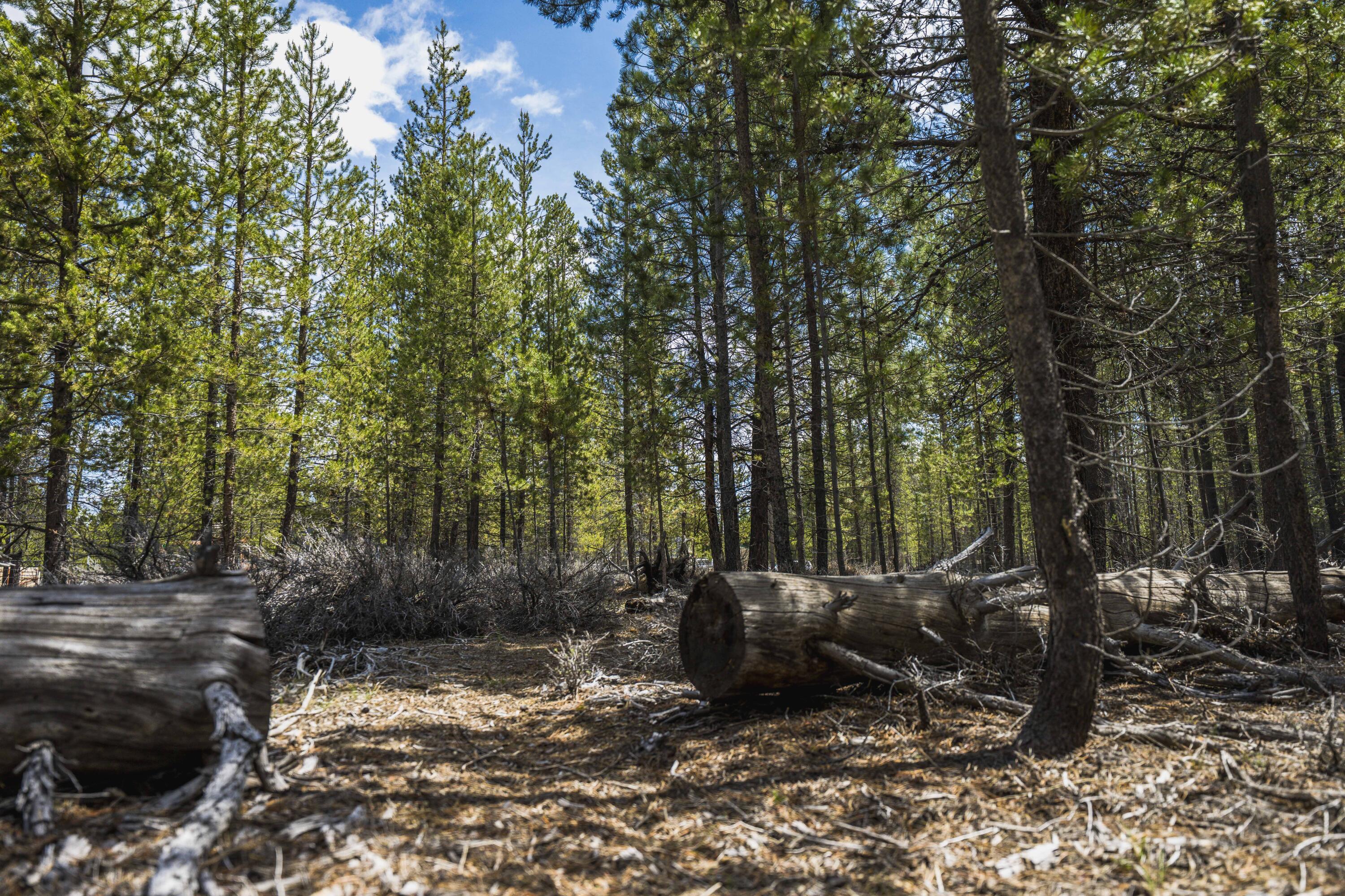 Sun Forest Estates - Land