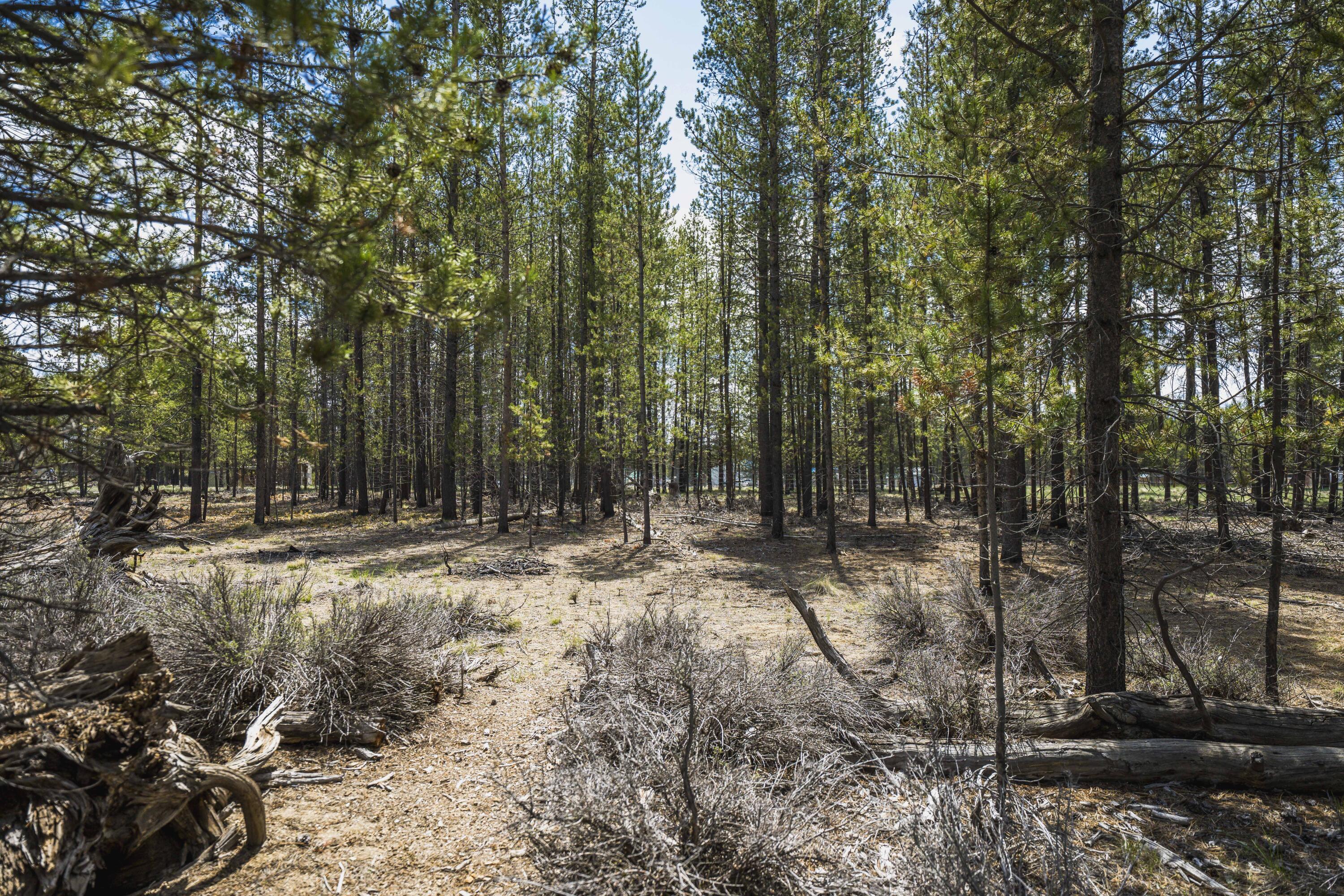 Sun Forest Estates - Land