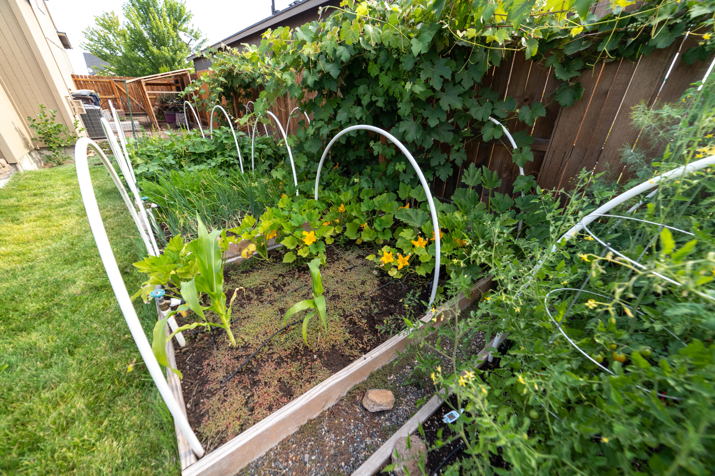 Emily Estates - Residential