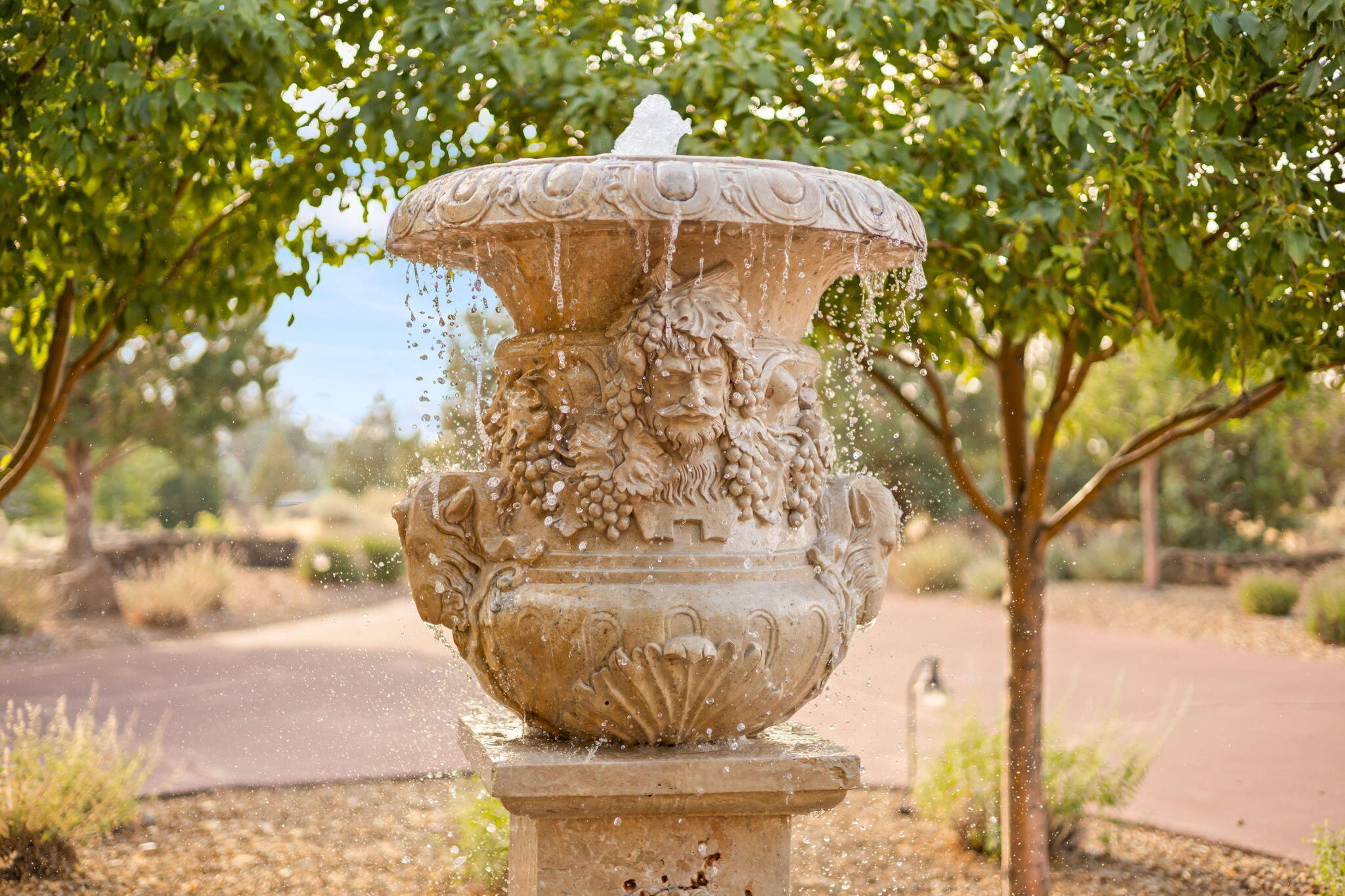 Ranch at the Canyons - Residential