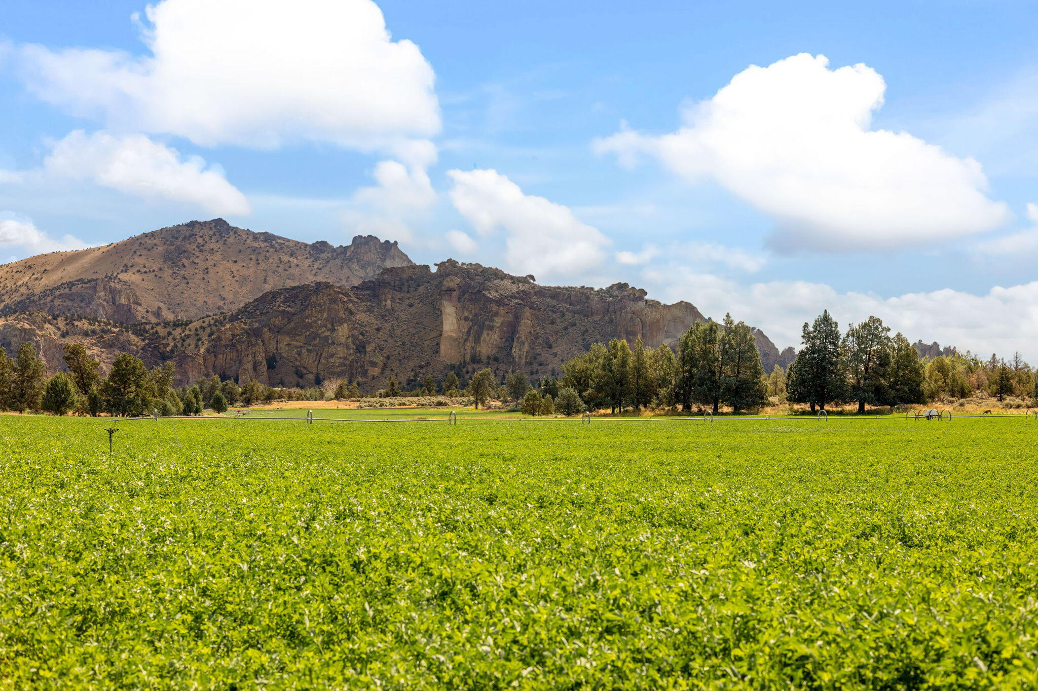 Ranch at the Canyons - Residential