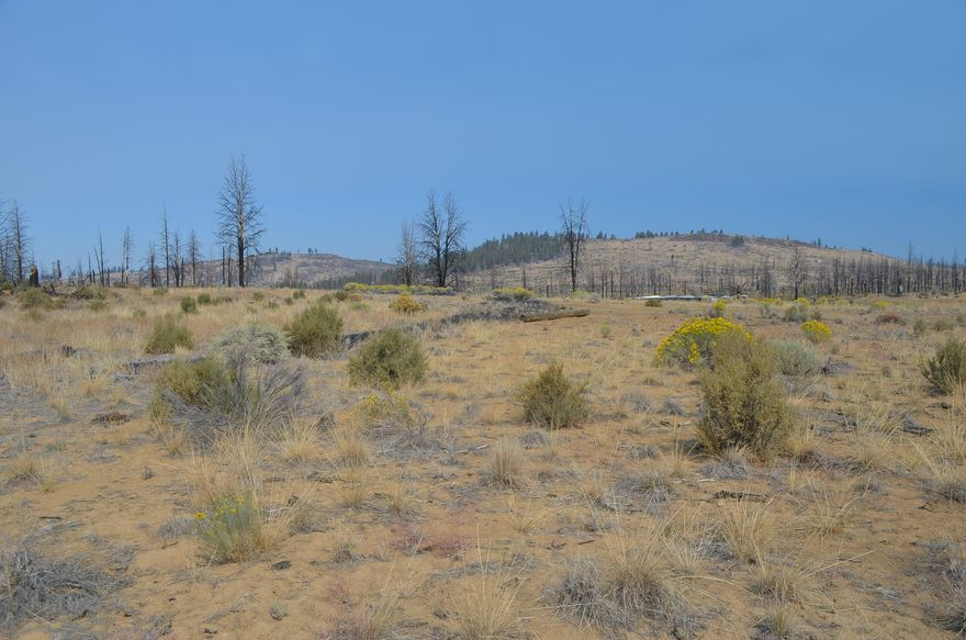 2.4 acre lot in the Klamath Forest Estates near town of Sprague River. Build your dream home or use as your get-away.