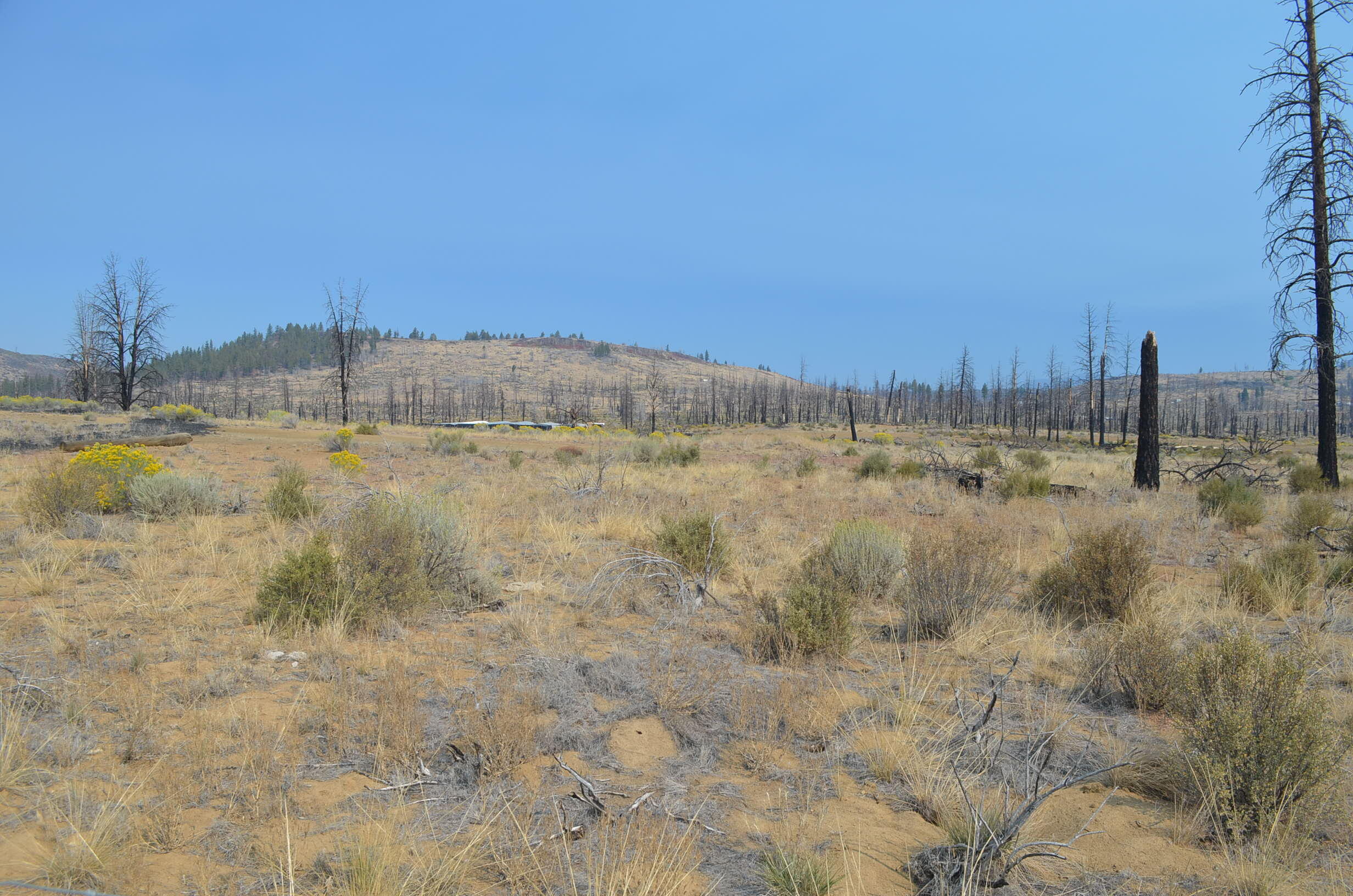 Klamath Forest Estates - Land