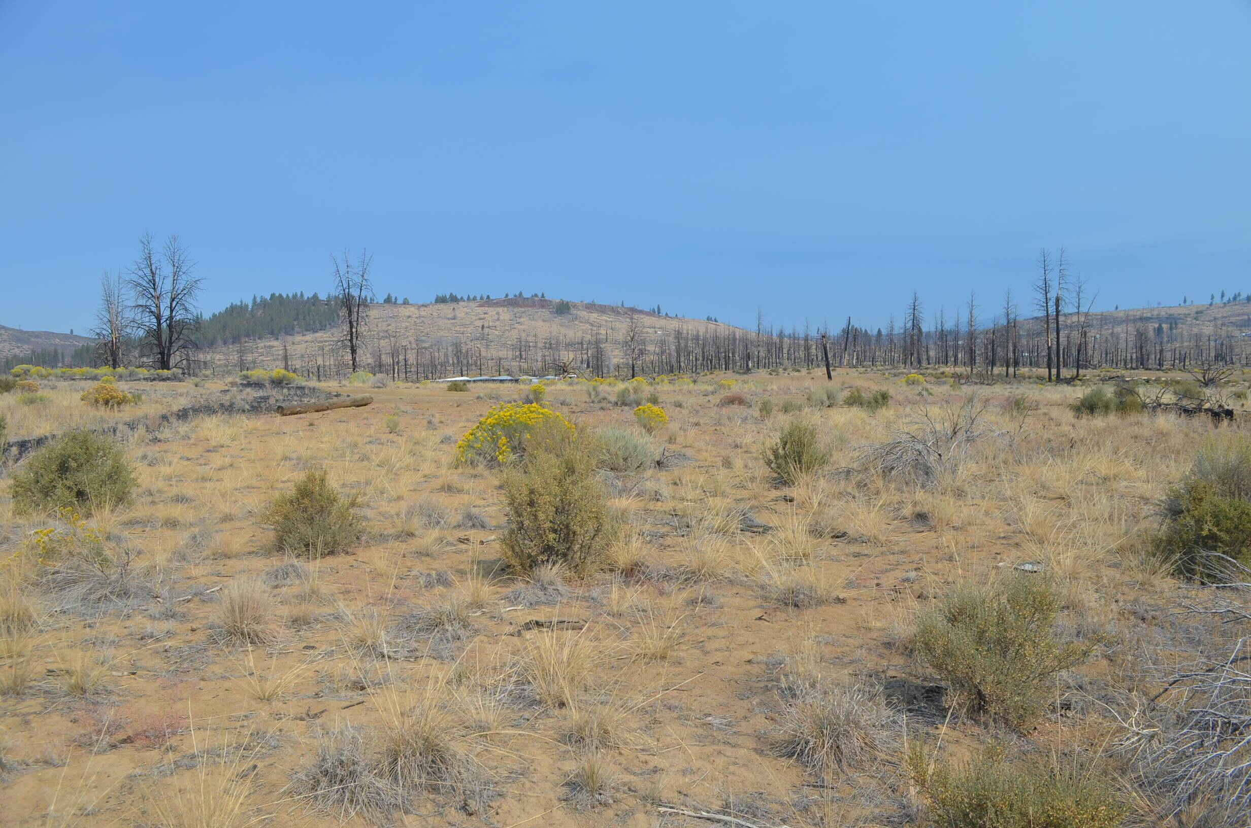 Klamath Forest Estates - Land