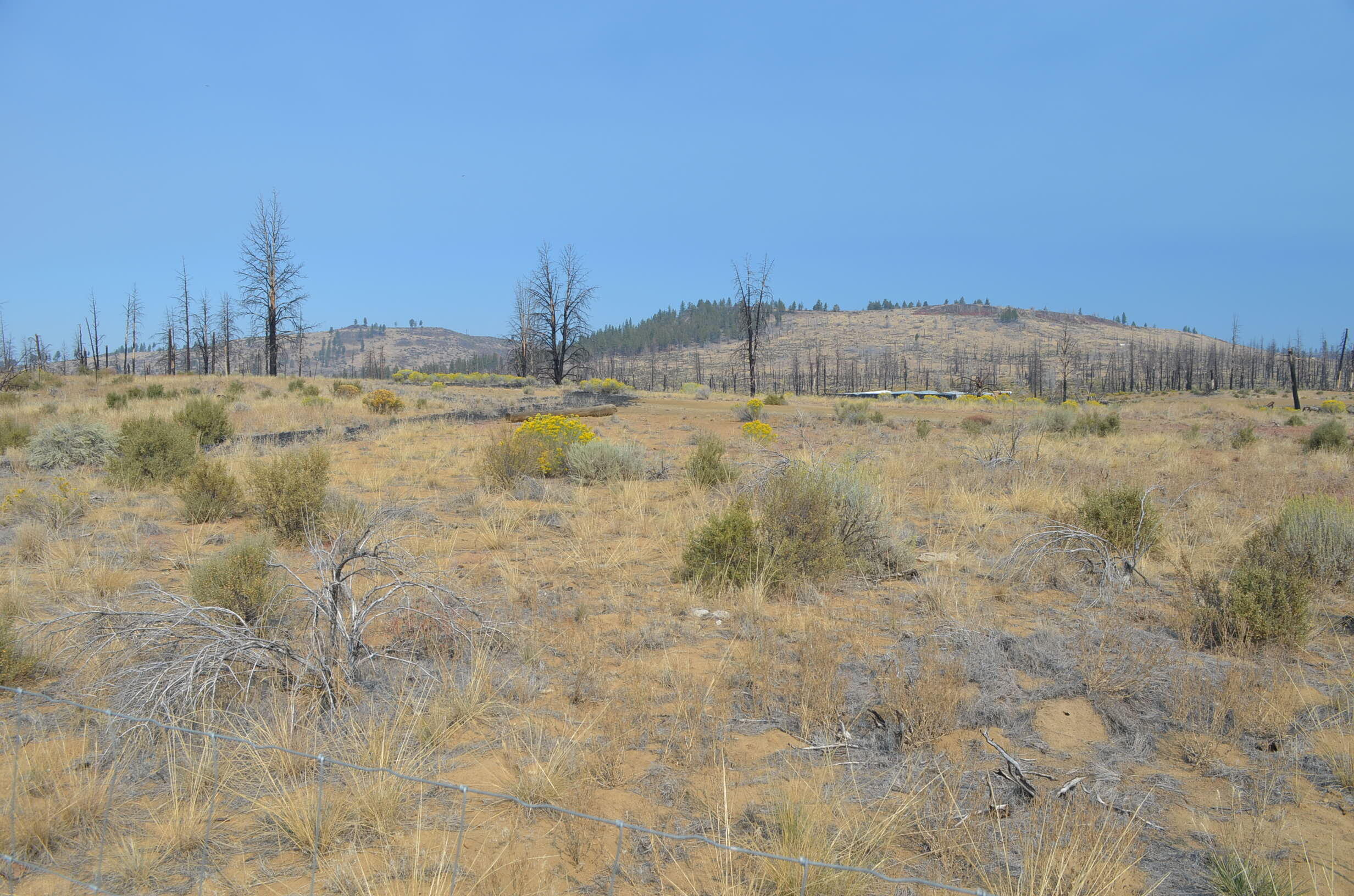 Klamath Forest Estates - Land