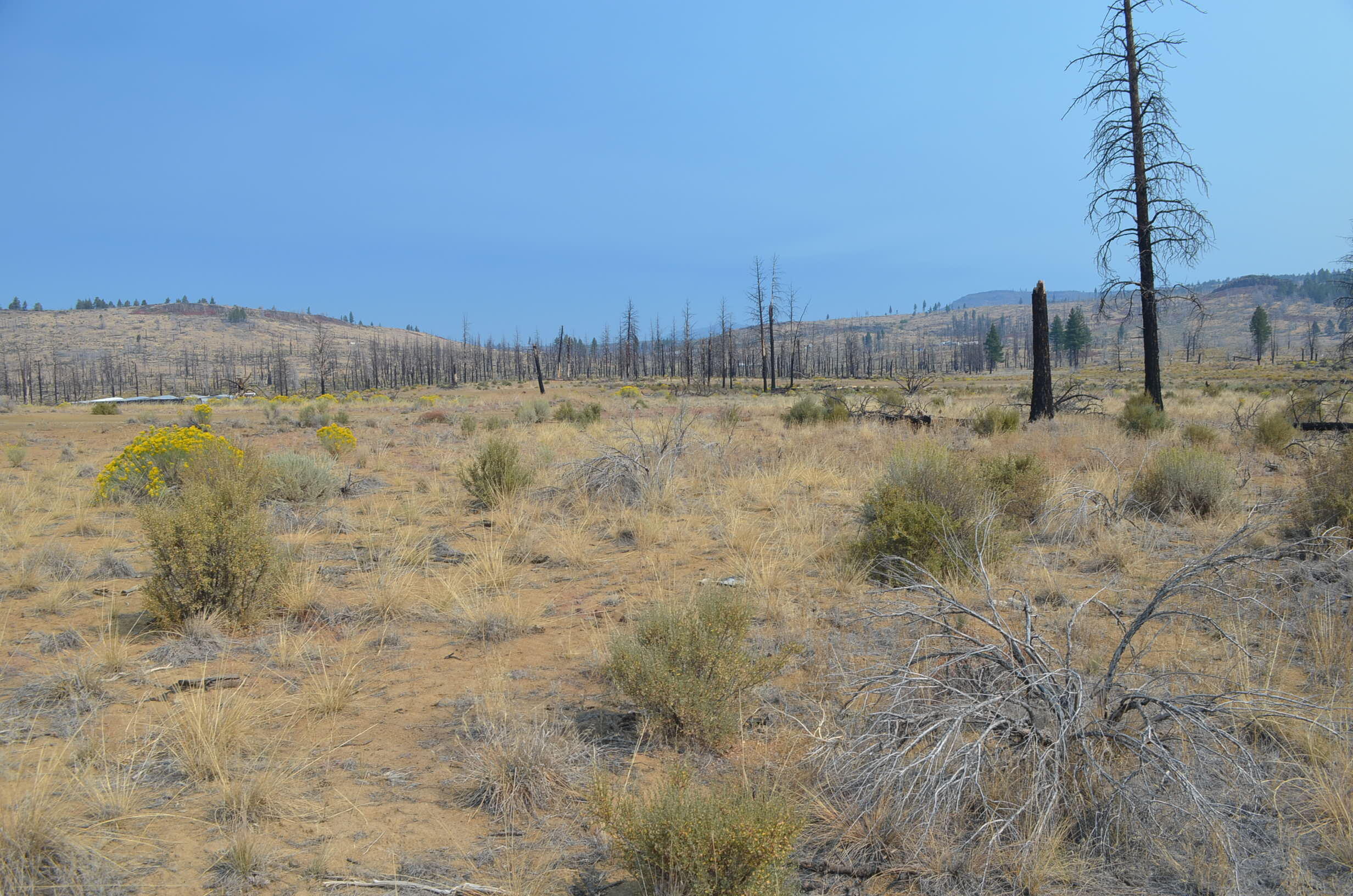 Klamath Forest Estates - Land