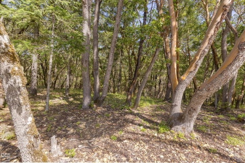 Tiny photo for 343 High Ridge Terrace, Grants Pass, OR 97526 (MLS # 220224474)