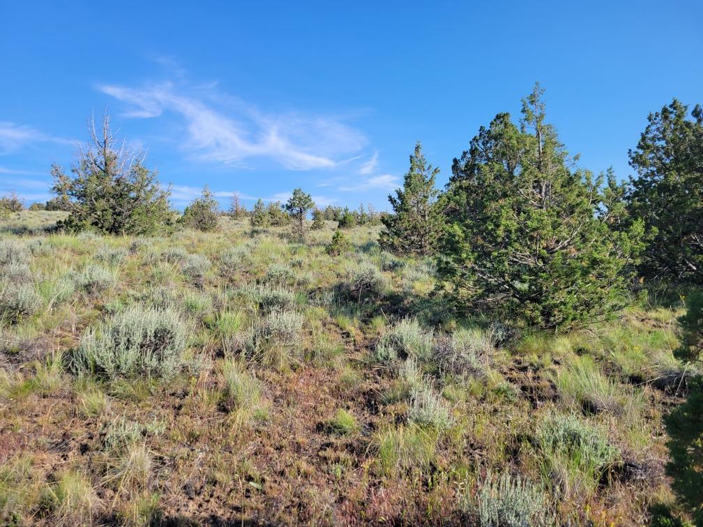 Prineville Lake Acres 2 - Land