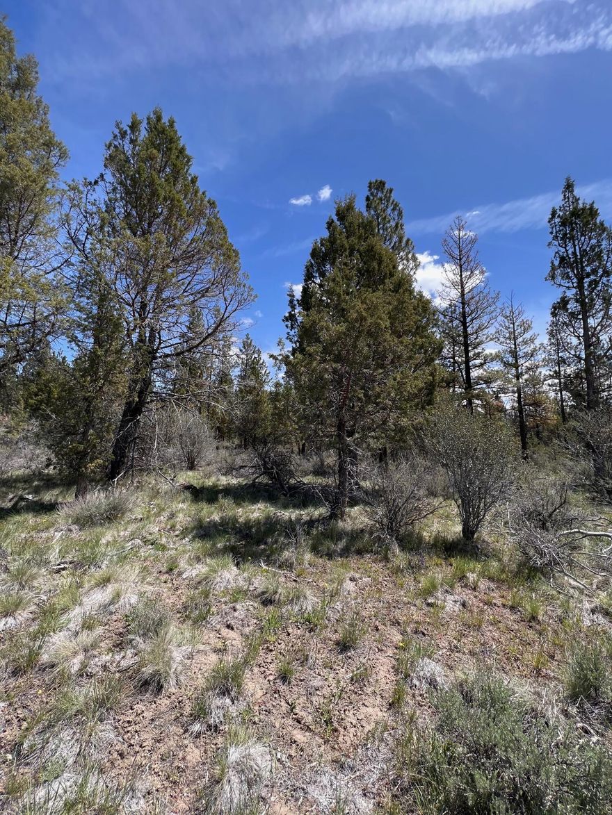 Level, treed lot in Oregon Pines that's ready for your getaway cabin or off-grid living full time. Less than one hour from Klamath Falls and close to the Sprague and Sycan rivers, this rural community offers quiet living among the wildlife.