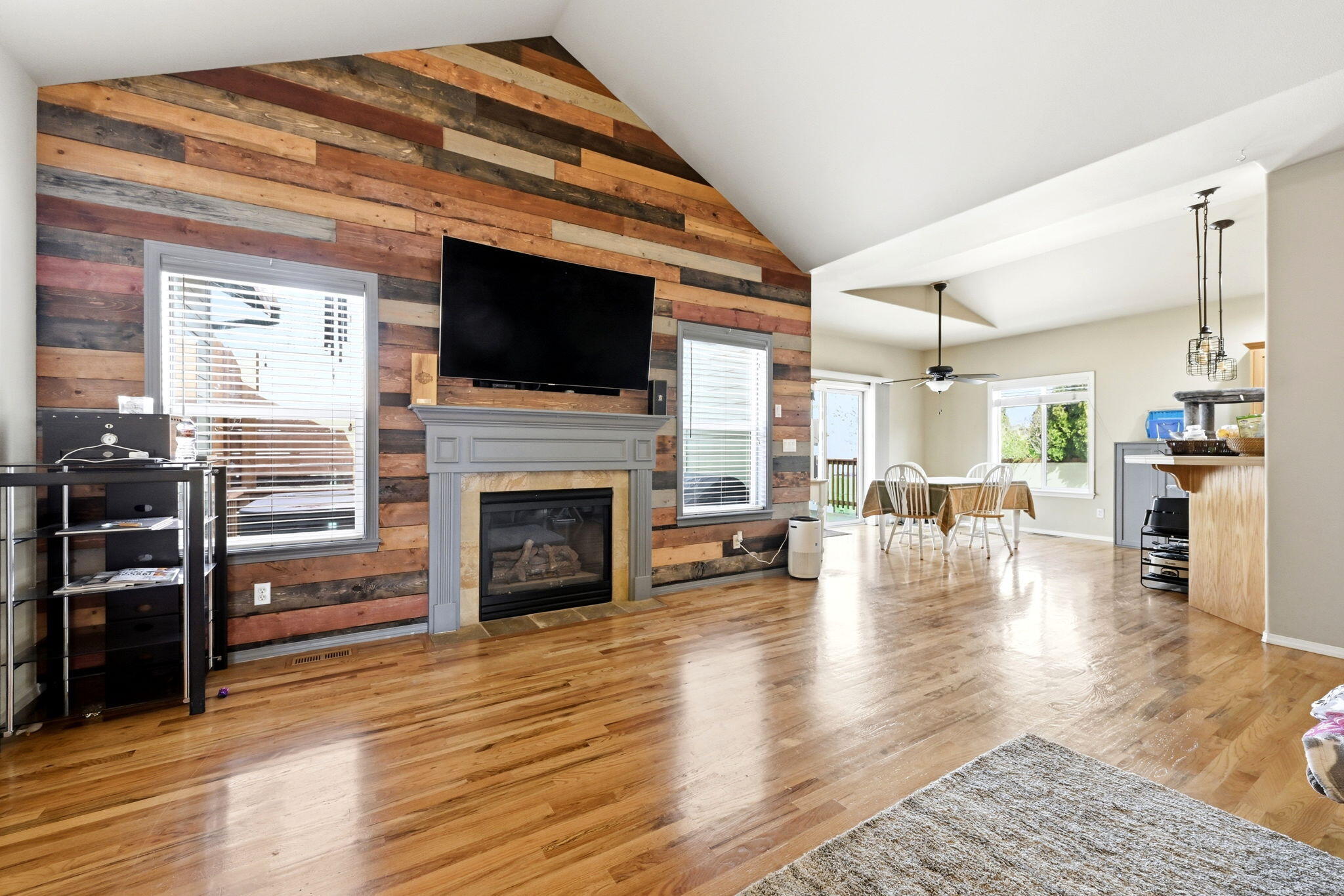 209 SE Soft Tail Drive