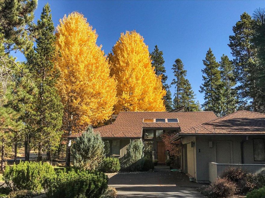 Enjoy the mid-century modern vibes of this single-level home expertly crafted by Sun Forest Builders. With so many interesting visual details, this inviting residence really stands out from the crowd. It is an eclectic blend of sophistication and functionality, w/ an inviting open floor plan flooded w/ natural light. The primary bedroom and a second junior suite make up one wing of the home, w/ two additional bedrooms in the guest wing for optimal privacy. The gourmet kitchen is perfect for culinary enthusiasts and features sleek slab quartz countertops and high-end appliances. Gather in the great room, complete with a charming brick gas fireplace that radiates warmth and comfort. Vaulted ceilings and stunning hardwood flooring enhance the home's allure and elegance. Outside, a large circular driveway leads to a two-car garage w/ ample storage. Enjoy outdoor living on the spacious decking surrounded by a nicely landscaped yard. The perfect permanent residence or vacation retreat.