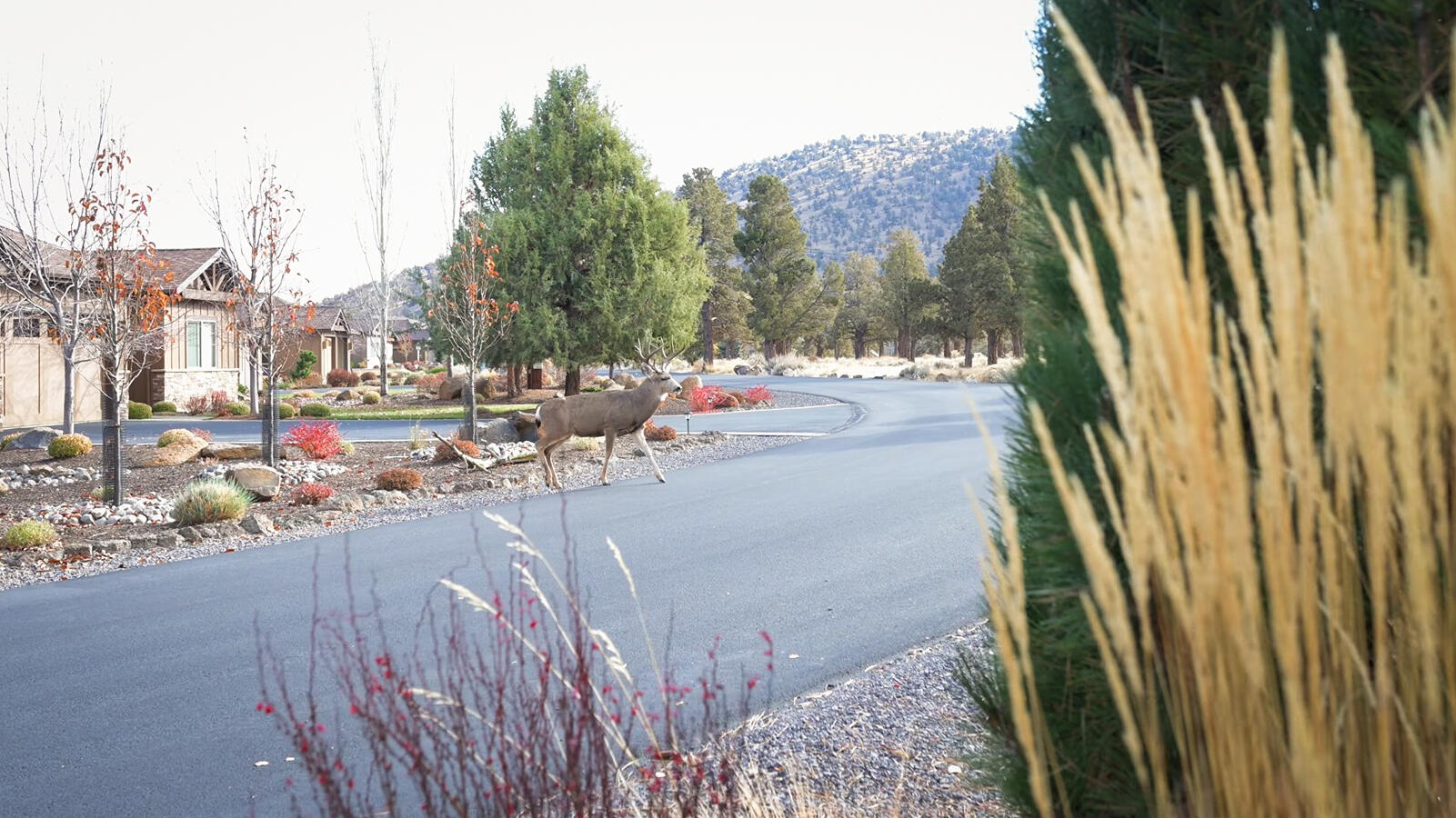 Eagle Crest - Residential