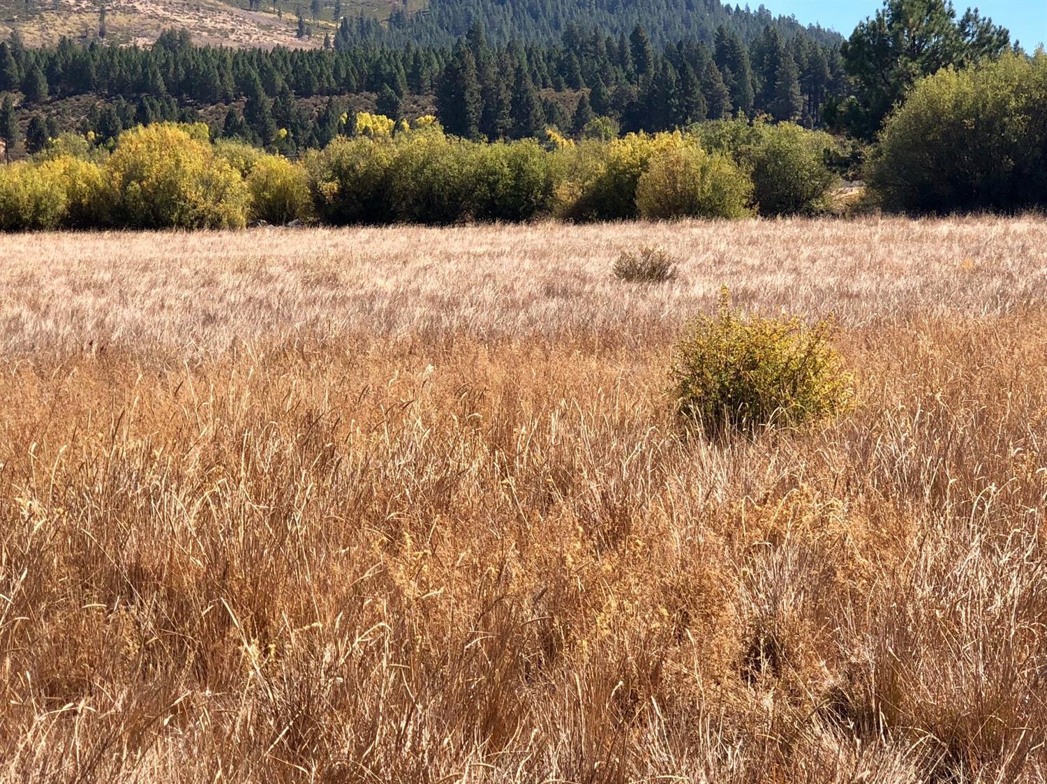 Pine Ridge Ranches - Land