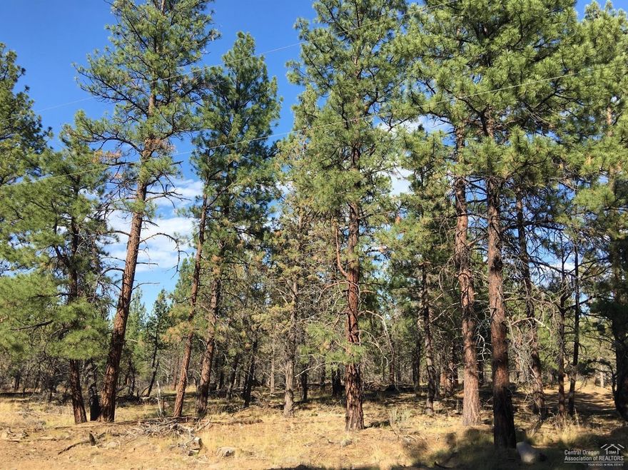 Beautiful pine tree covered 2.5 acre lot. Just outside of Sisters in a quiet well kept neighborhood. Room for a shop and plenty of privacy.