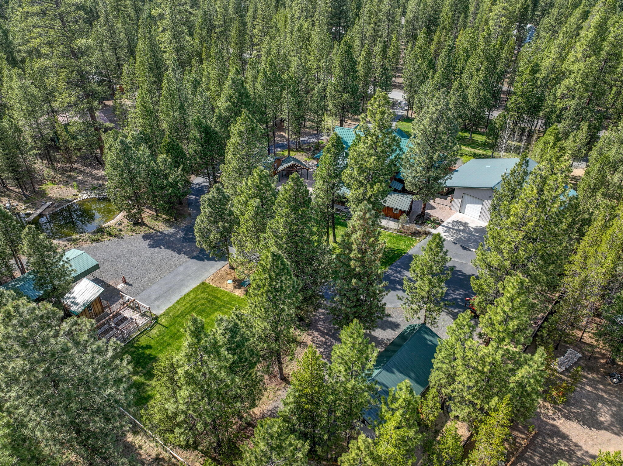 Ponderosa Pines - Residential