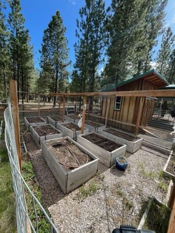 Ponderosa Pines - Residential