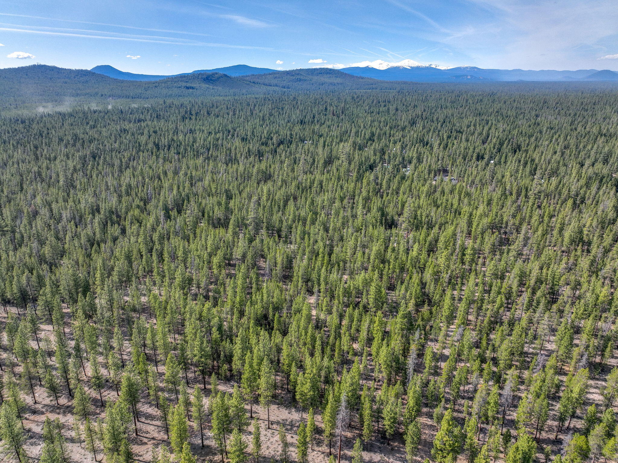 Ponderosa Pines - Residential