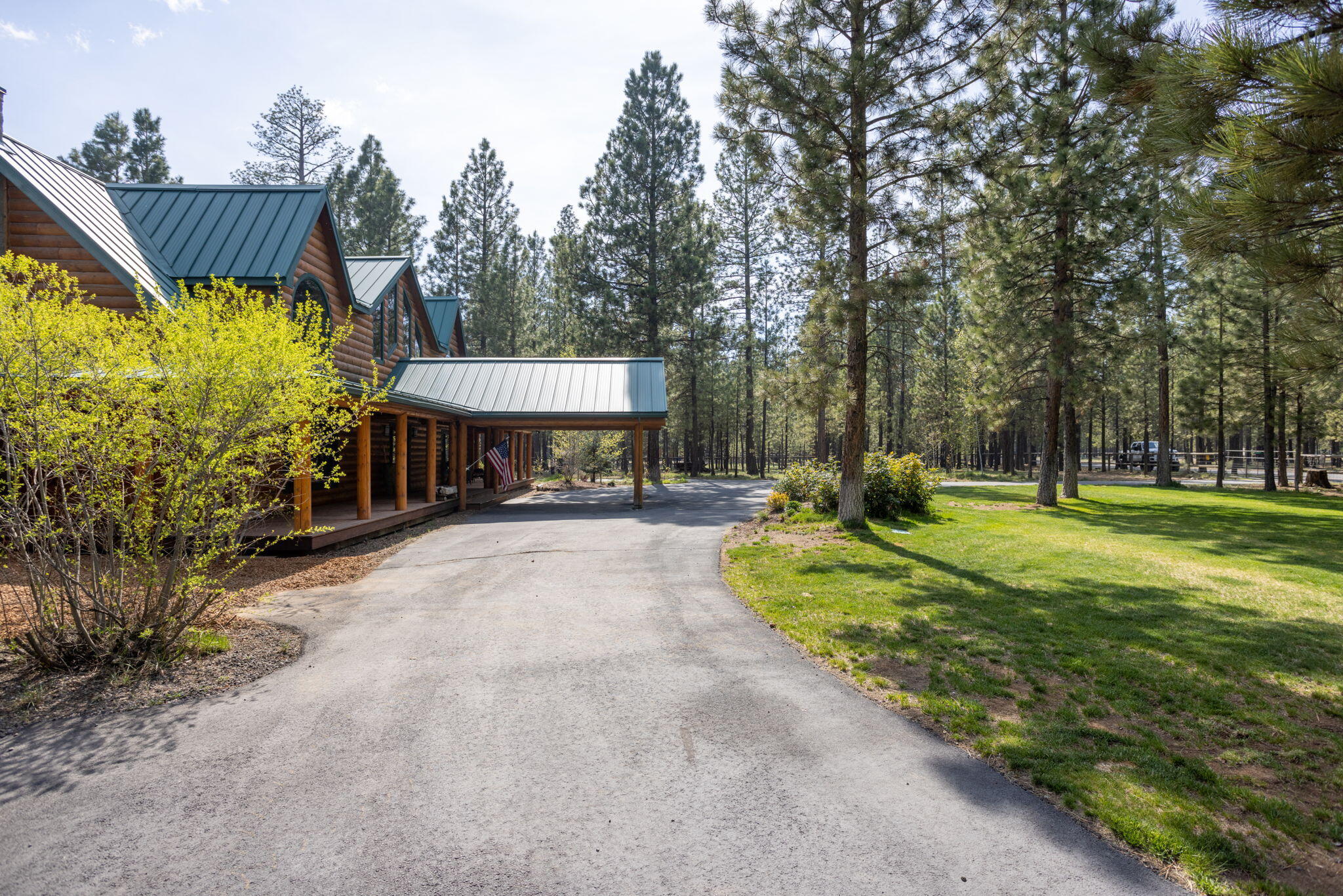 Ponderosa Pines - Residential