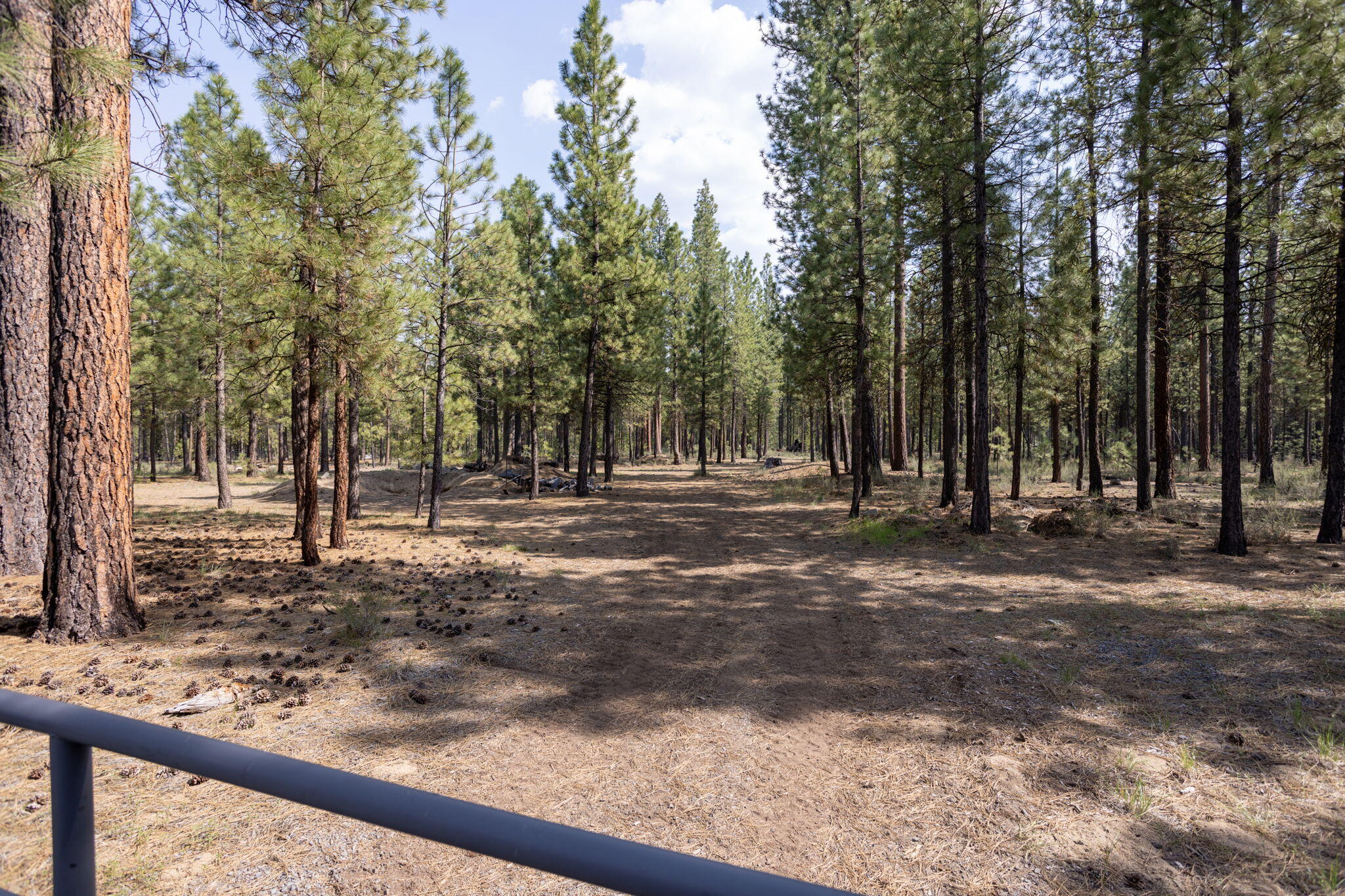 Ponderosa Pines - Residential