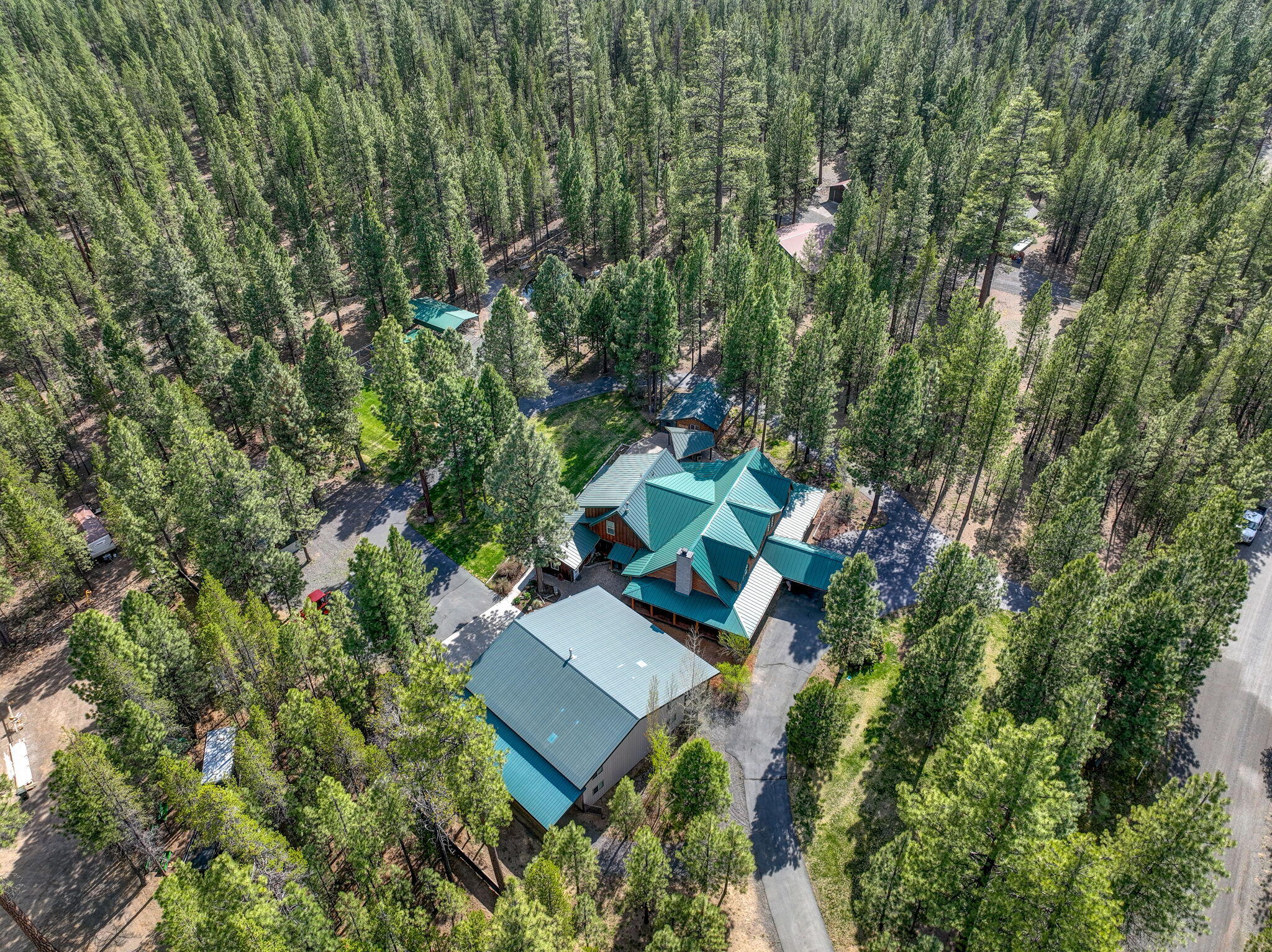 Ponderosa Pines - Residential