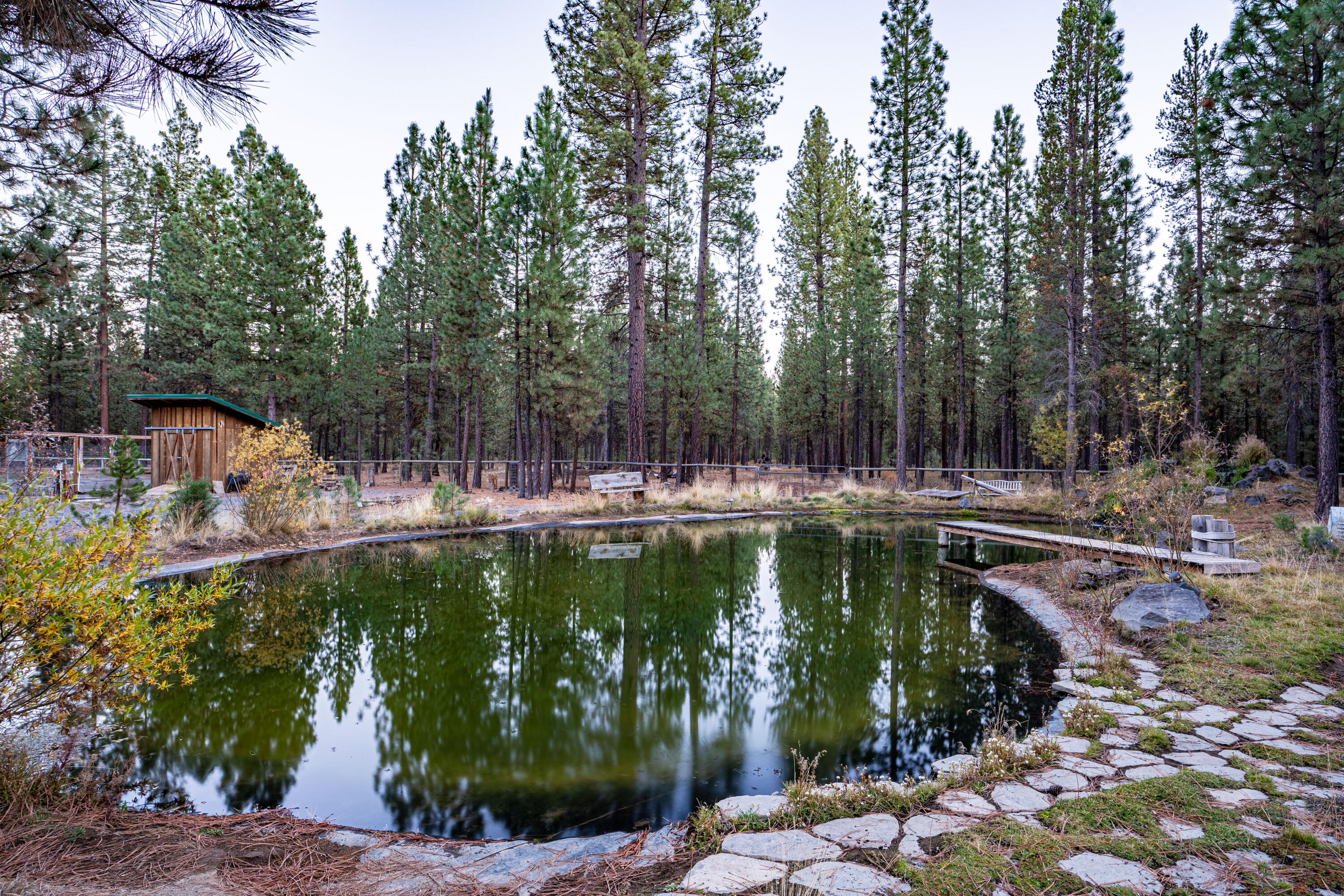 Ponderosa Pines - Residential