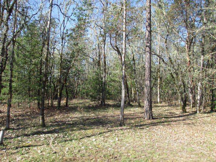 Castle Creek Subdivision - Residential