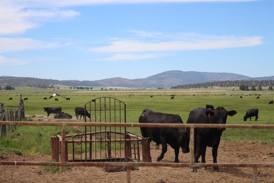 Spectacular Private Pasture Ranch- 938.49 summers 722 yearlings, 25 pair, water rights, Irrigation well for 96 acres and Horsefly for 198.6 acres, stockwater throughout ranch, Immaculate turn key facilities, owners 3BR,3B home enclosed 3 car garage, plus 3 nice rental income homes, Steel corrals, #10,000 Powell scale, hydraulic chute, barn, horsebarn, shop, equip storage, Excellent fencing and cross fencing, $2.4 million with OWC with approved credit.