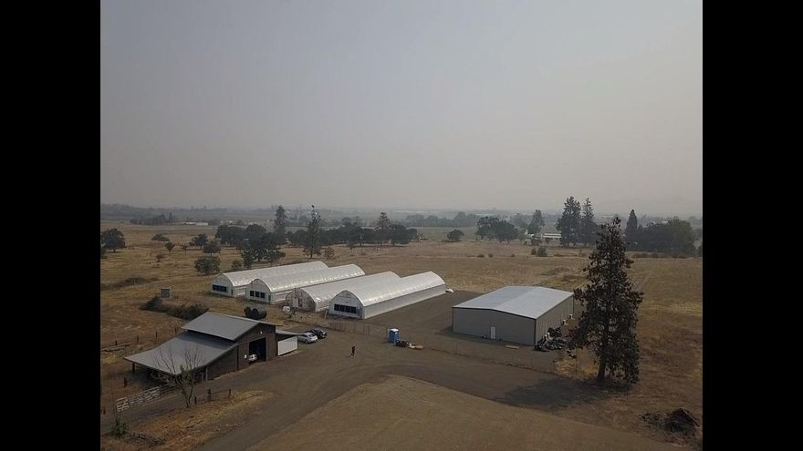 Here is your Emerald opportunity to purchase Rabbit Hills Farm in Southern Oregon which currently holds a Tier 2 license that can be transferred to a qualifying buyer(s). The farm is currently operating in 3 top of the line Next G3n 120X30 greenhouses w/advanced auto light deprivation systems, automated artificial light system, 1200 amp service, climate control system, CO2, and automated watering system with filtering, nutrient mixing and aeration. Additionally there is a 120X30 Veg. House & a 50X100 climate controlled utility building designed with 8 20X20 rooms for starting seedlings, cloning, mother plants, drying, trimming and office space. The property is 20 acres zoned EFU, has irrigation for the entire property, plenty of room to expand to an outdoor operation, add additional greenhouses or grow hemp? The property is fully fenced and has OLCC approved security systems in place. There is also a 3 bd/1 bth older home to live, rent or house employees. Owner will carry.