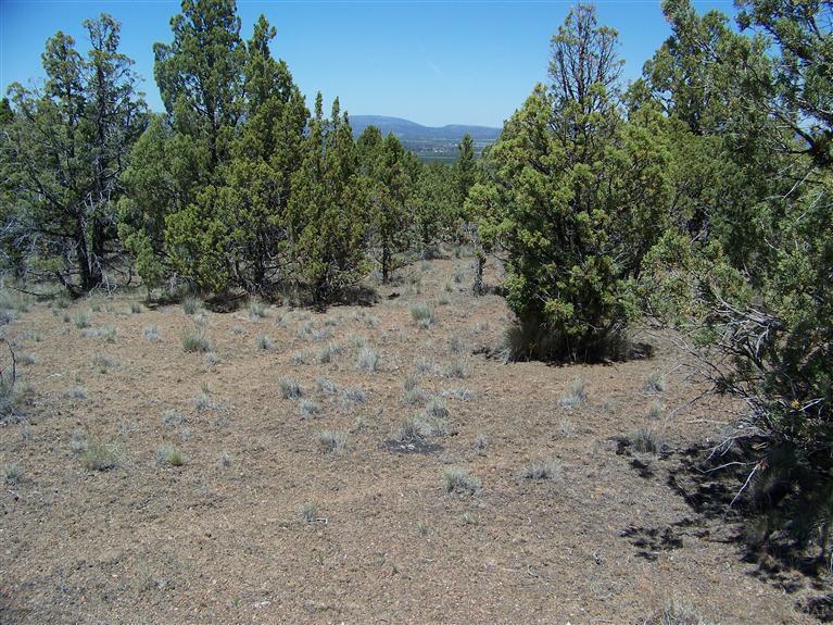 Sinclair Davis - Land