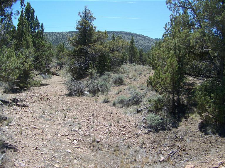 Sinclair Davis - Land