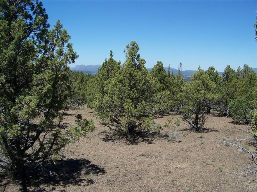 Nice view lot property with several options for a building site. Power is on the lot line. Possible owner financing with an acceptable down. Newer homes in the immediate area.