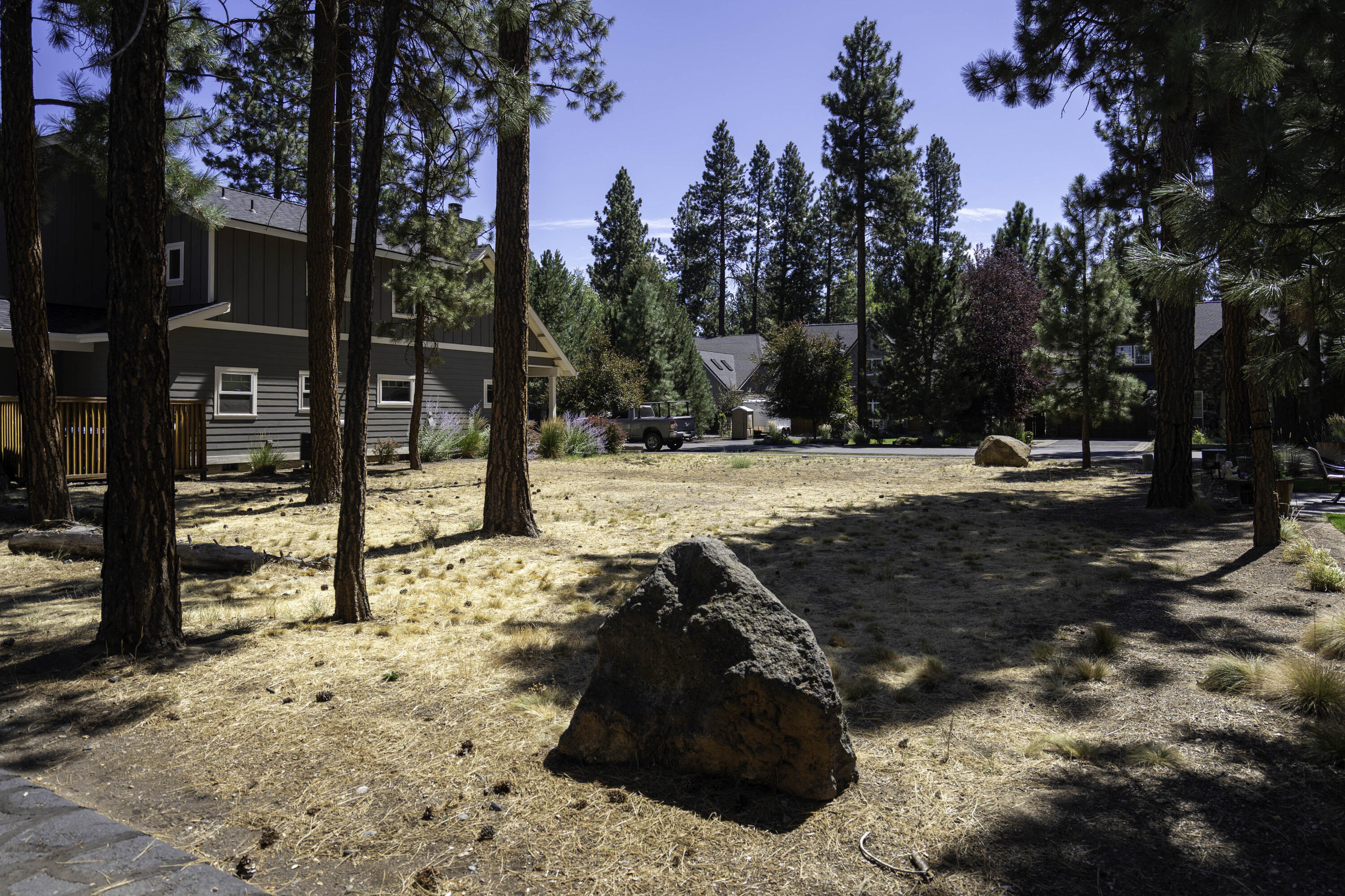 966 E Timber Pine Drive