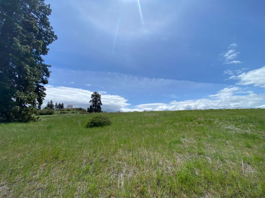 Beautiful sloping view lot in Oregon Shores 2. Power and water available. Stick built homes only. $200 annual fee covers domestic water use, road maintenance and use
of waterfront park on Agency Lake.